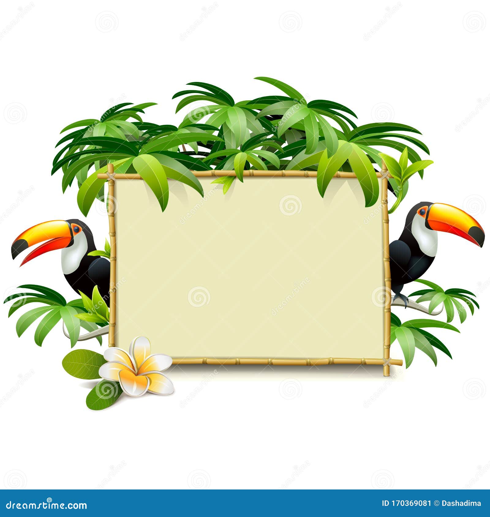  tropics frame with toucan