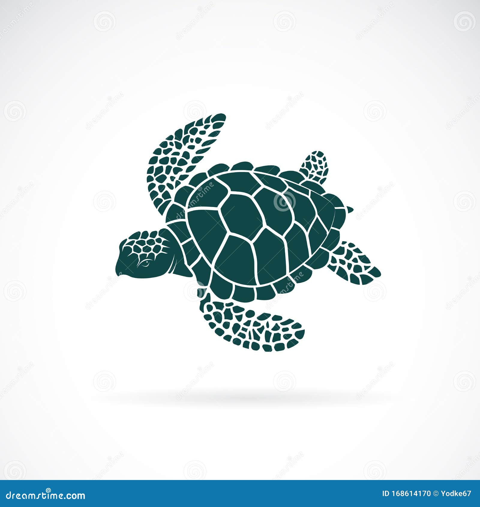  of turtle  on a white background. wild animals. underwater animal. turtle icon or logo. easy editable layered 