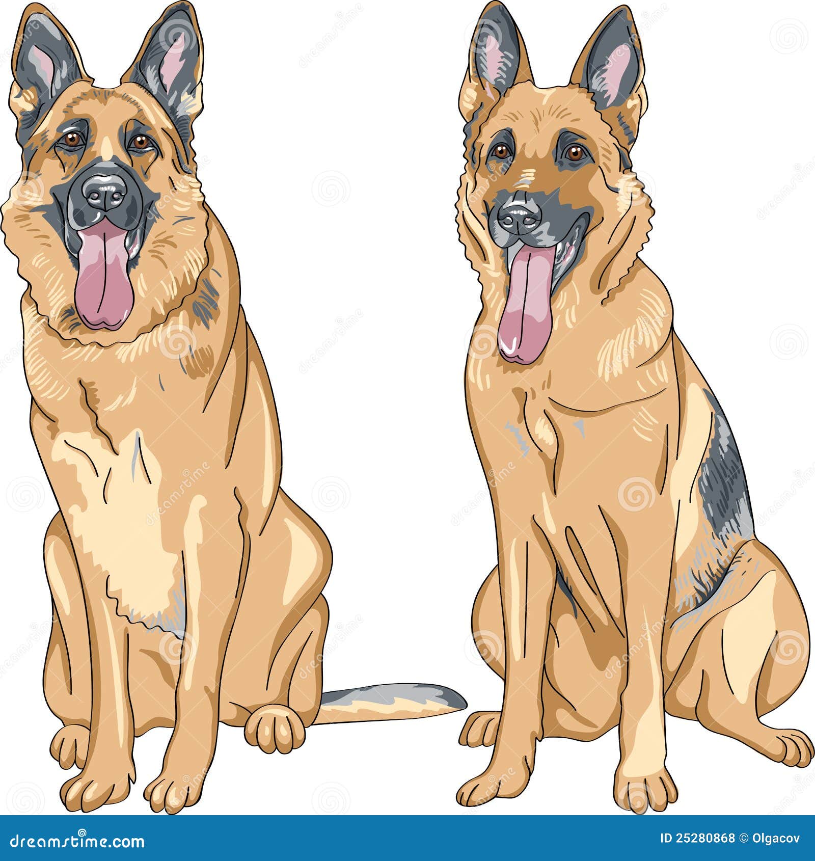  two dog german shepherd breed