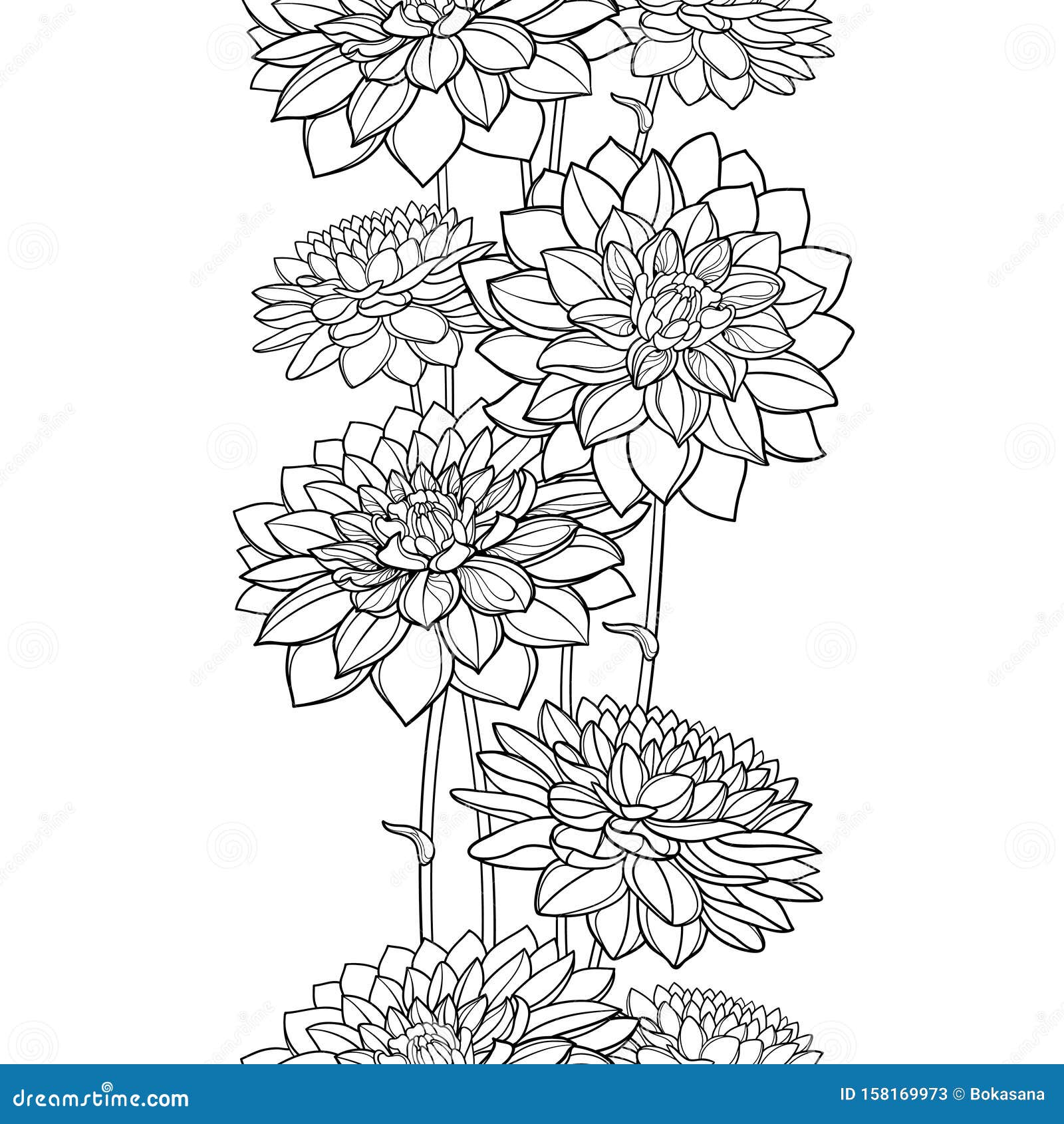 black and white dahlia clipart