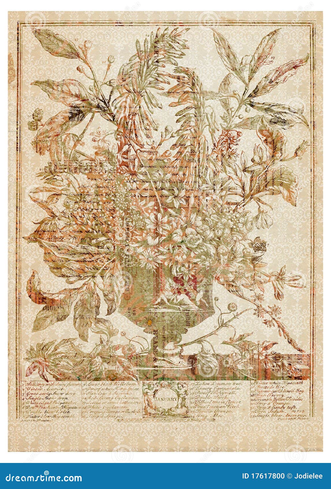 Vector Victorian Flower Bouquet in Vase with Text Stock Illustration