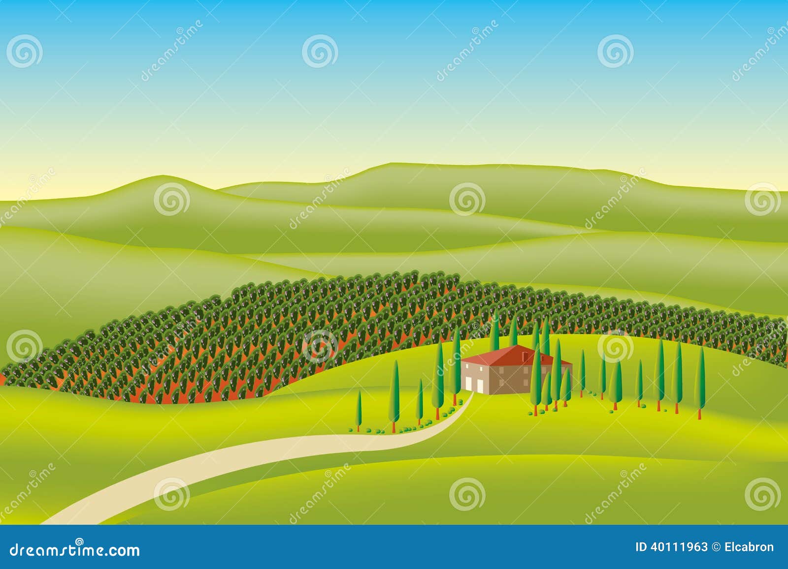 Vector vineyard stock vector. Illustration of graphic - 40111963
