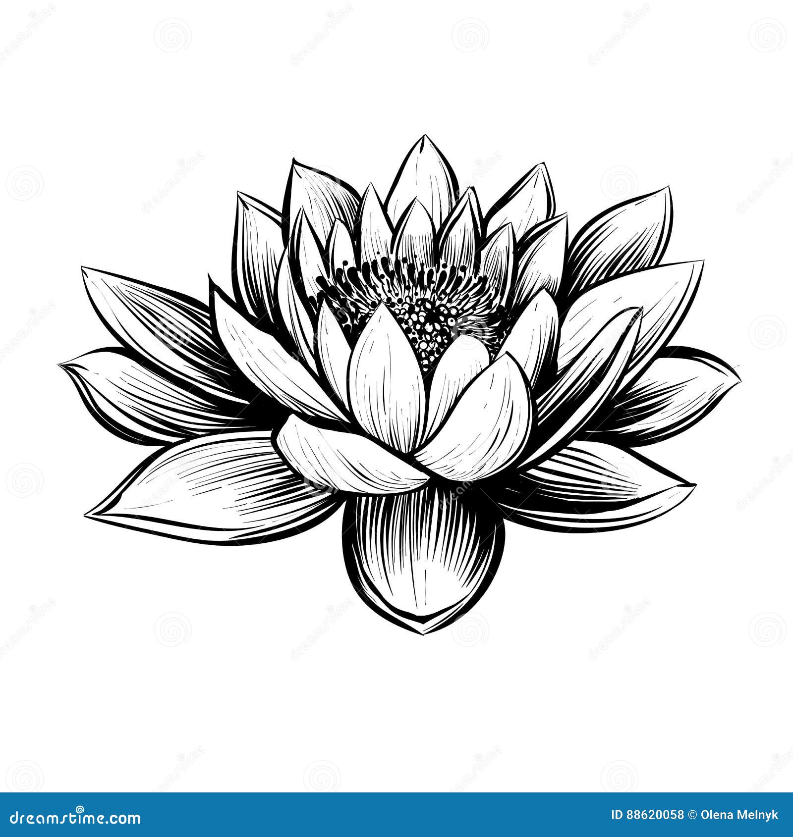 creative water lily tattoo ideas nicoleinkart  KickAss Things