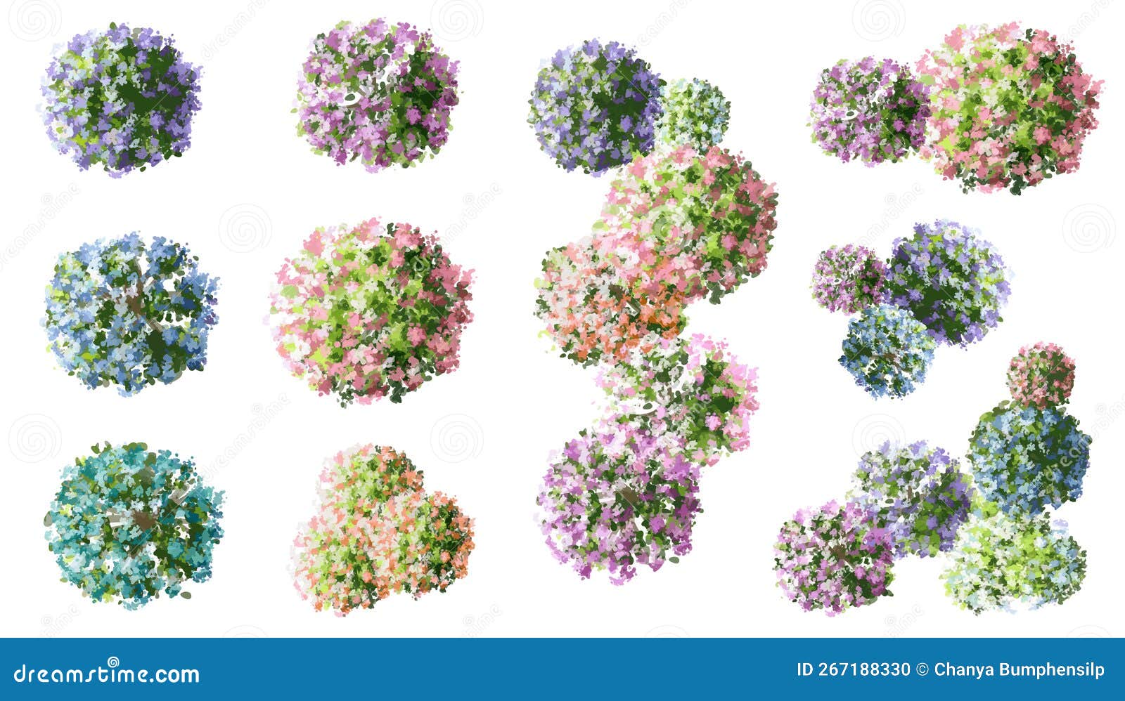 Vector Watercolor of Blooming Tree Top View Isolated on White