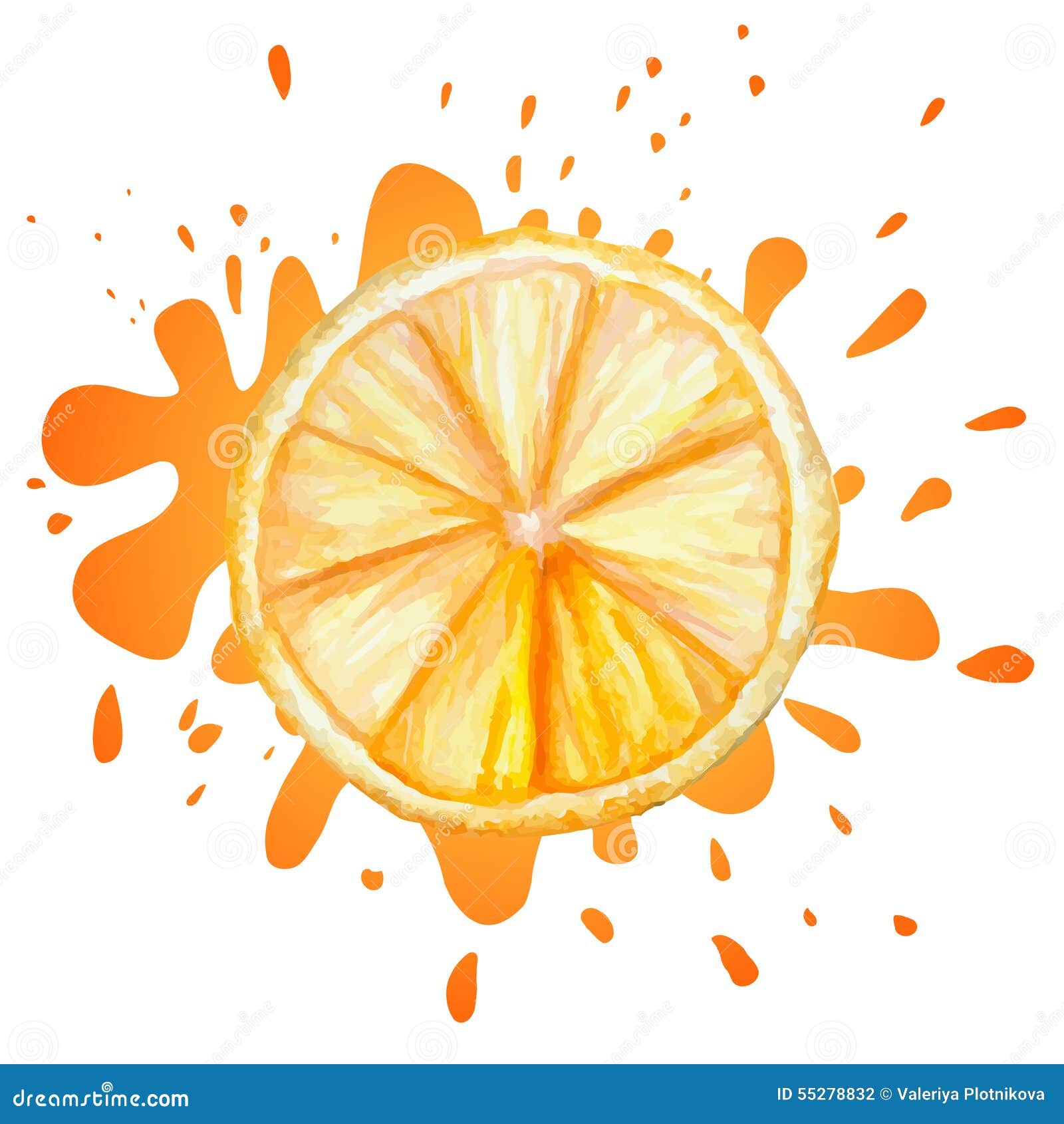 Vector Watercolor Orange Stock Vector Illustration Of Group 55278832