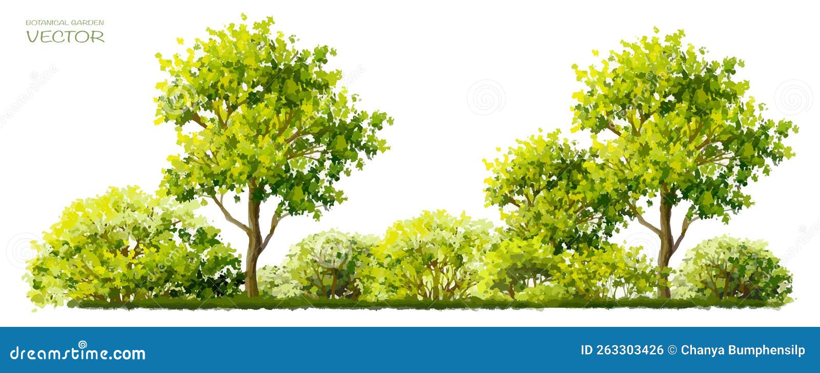 Vector Watercolor Set of Tree Side View Isolated on White Background
