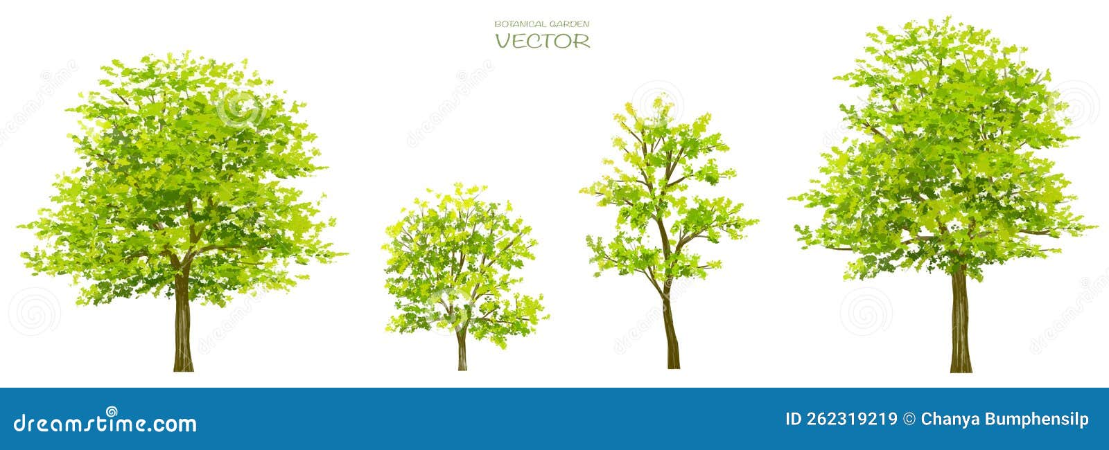  watercolor tree or forest side view  on white background
