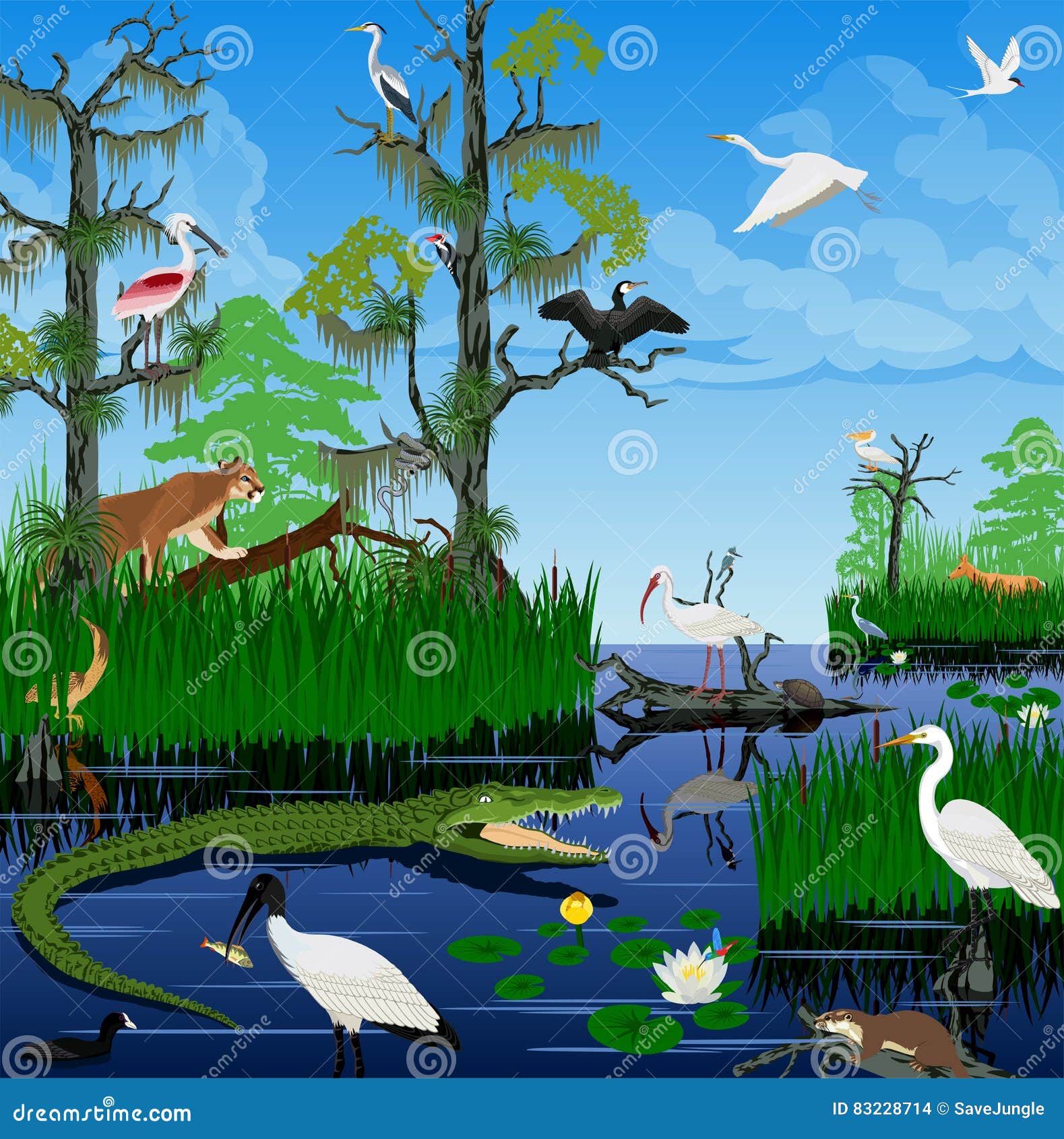  wetland pantanal everglades landscape with animals