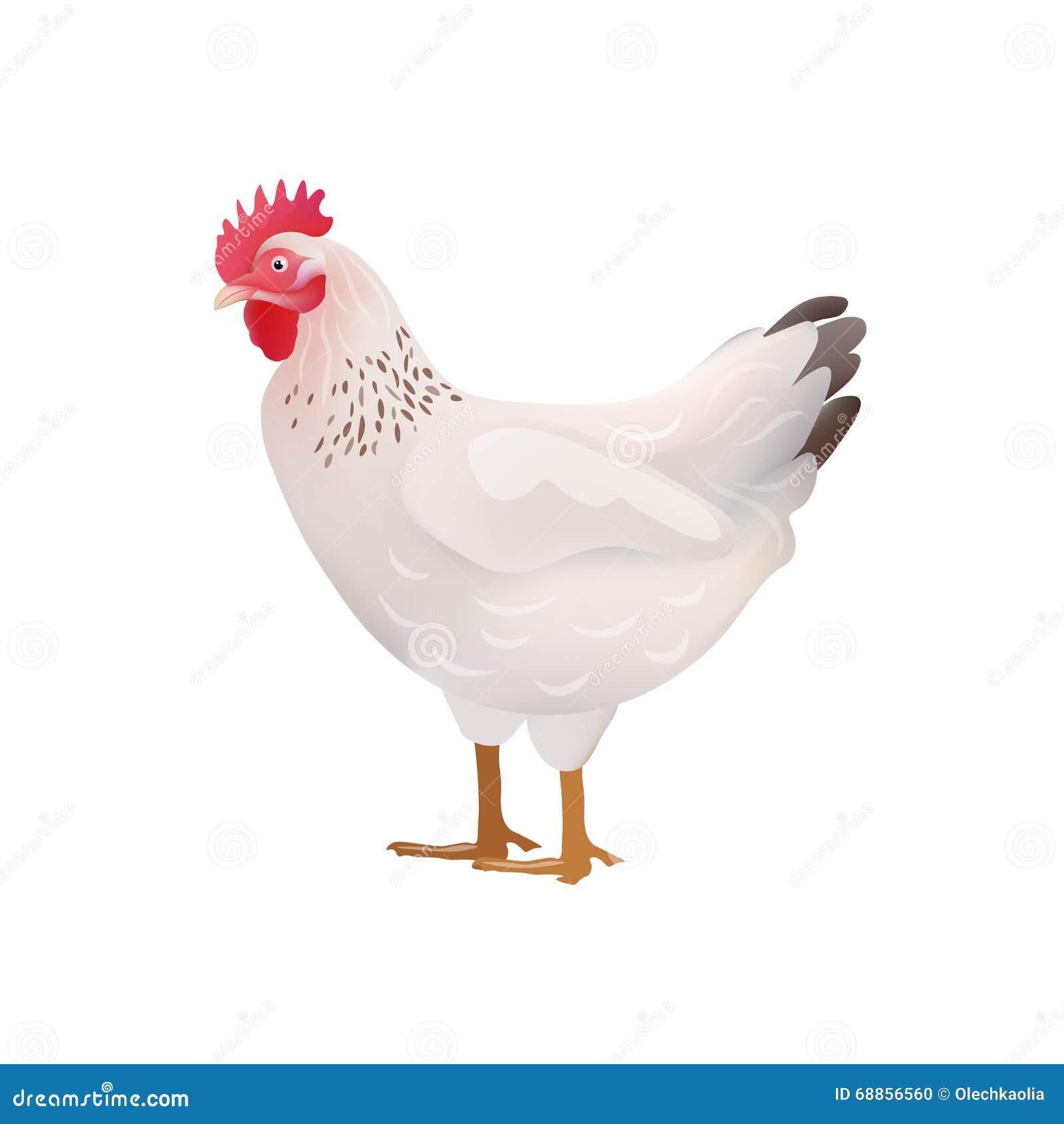 Vector White Hen, Chicken Illustration Icon Stock Vector - Illustration ...