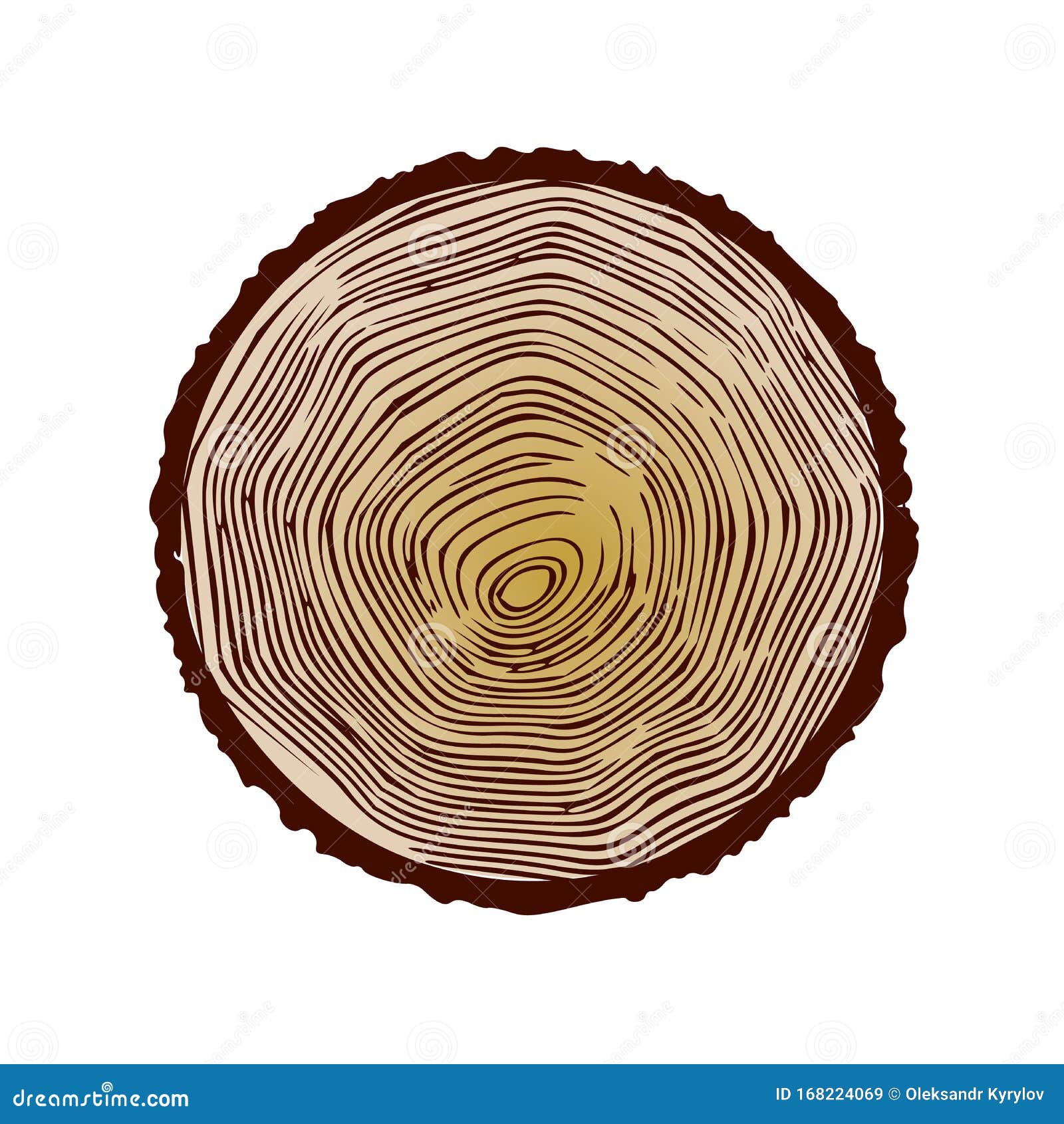 Premium Vector | Tree age year rings Wooden saw cut