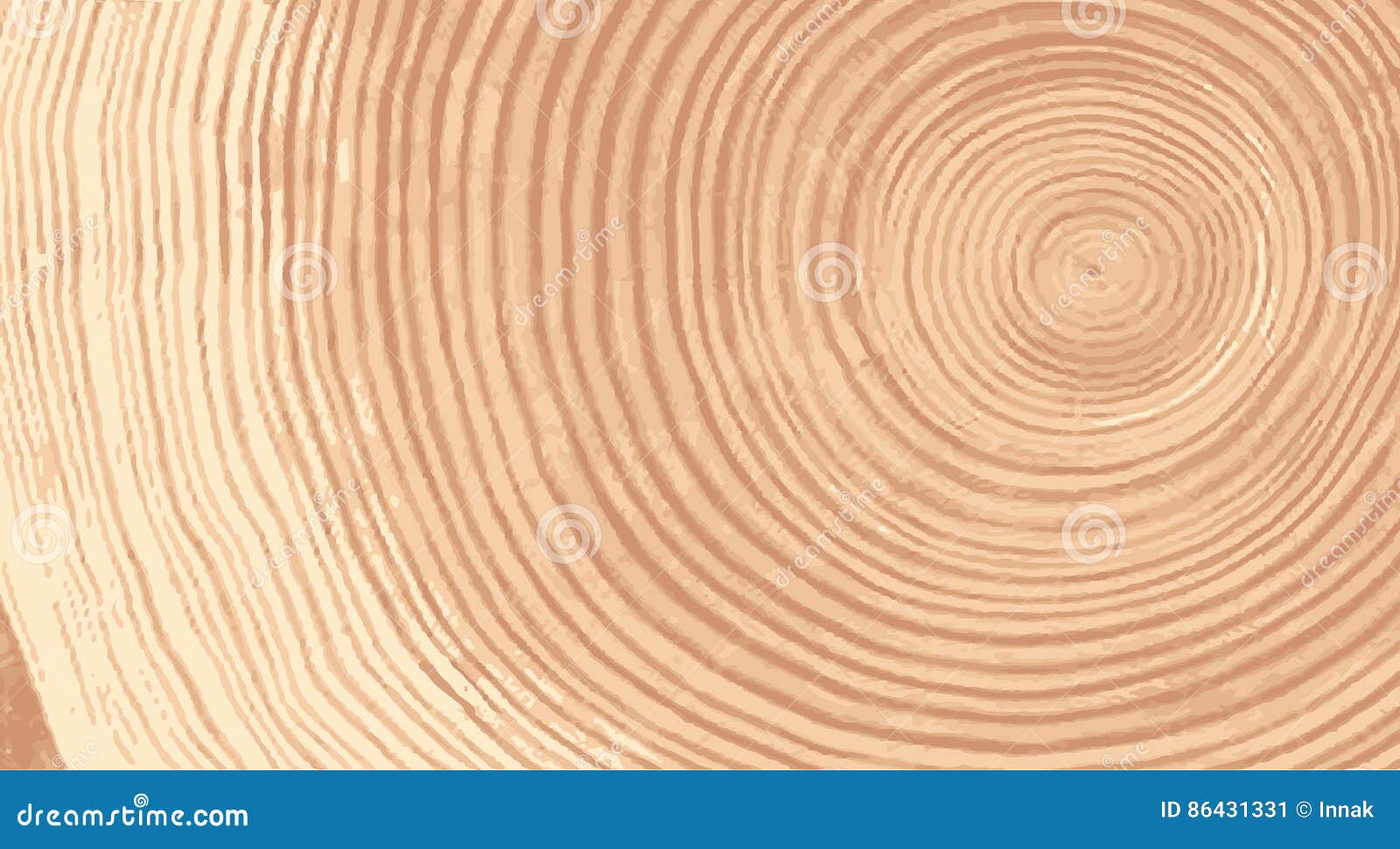  wood texture of wavy ring pattern from a slice of tree. grayscale wooden stump  on white.