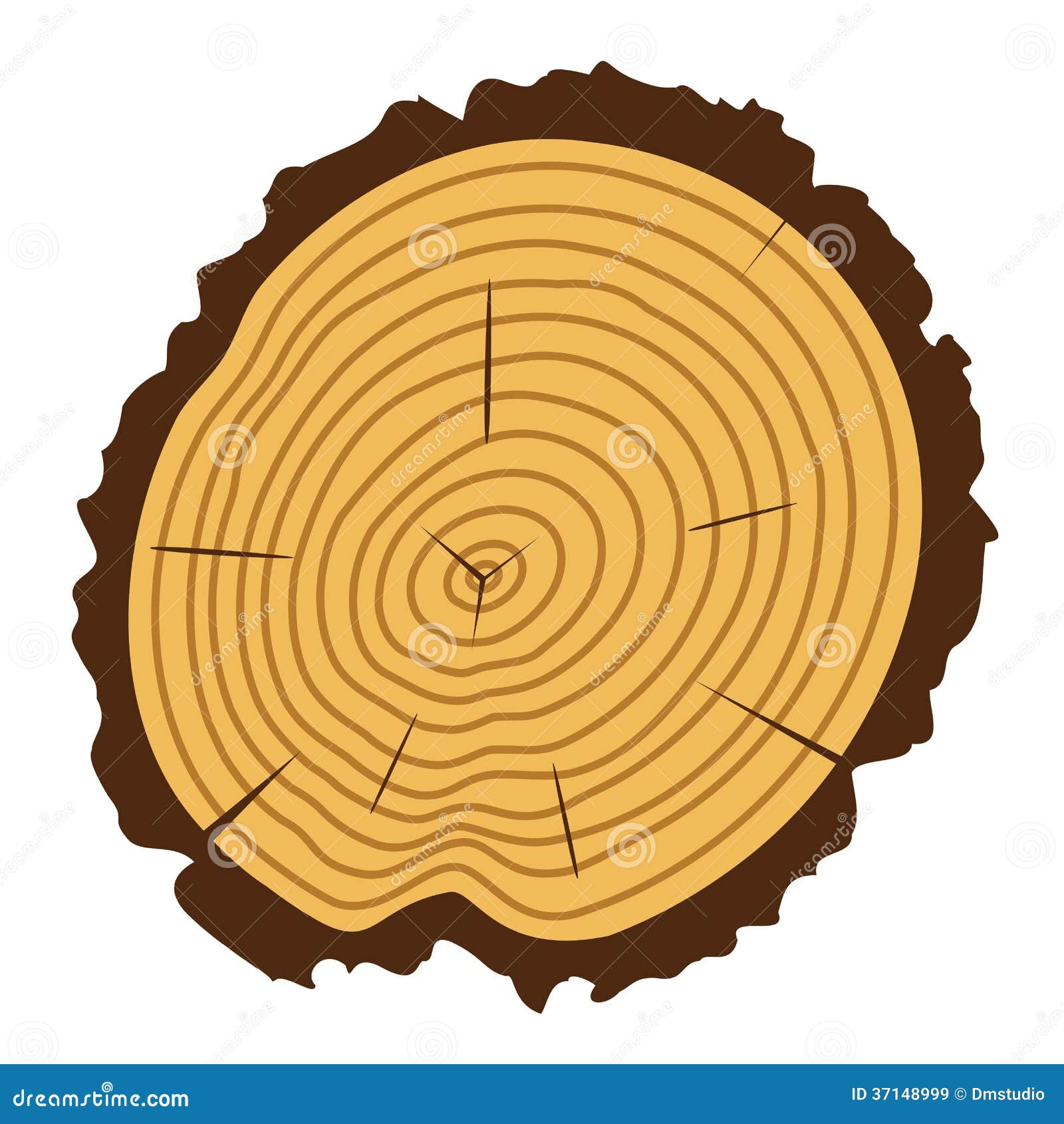 clipart tree rings - photo #37