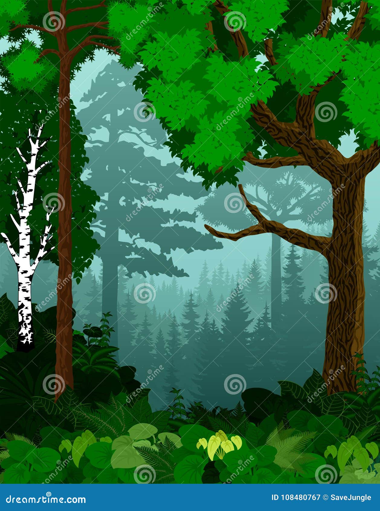  woodland green forest trees backlit