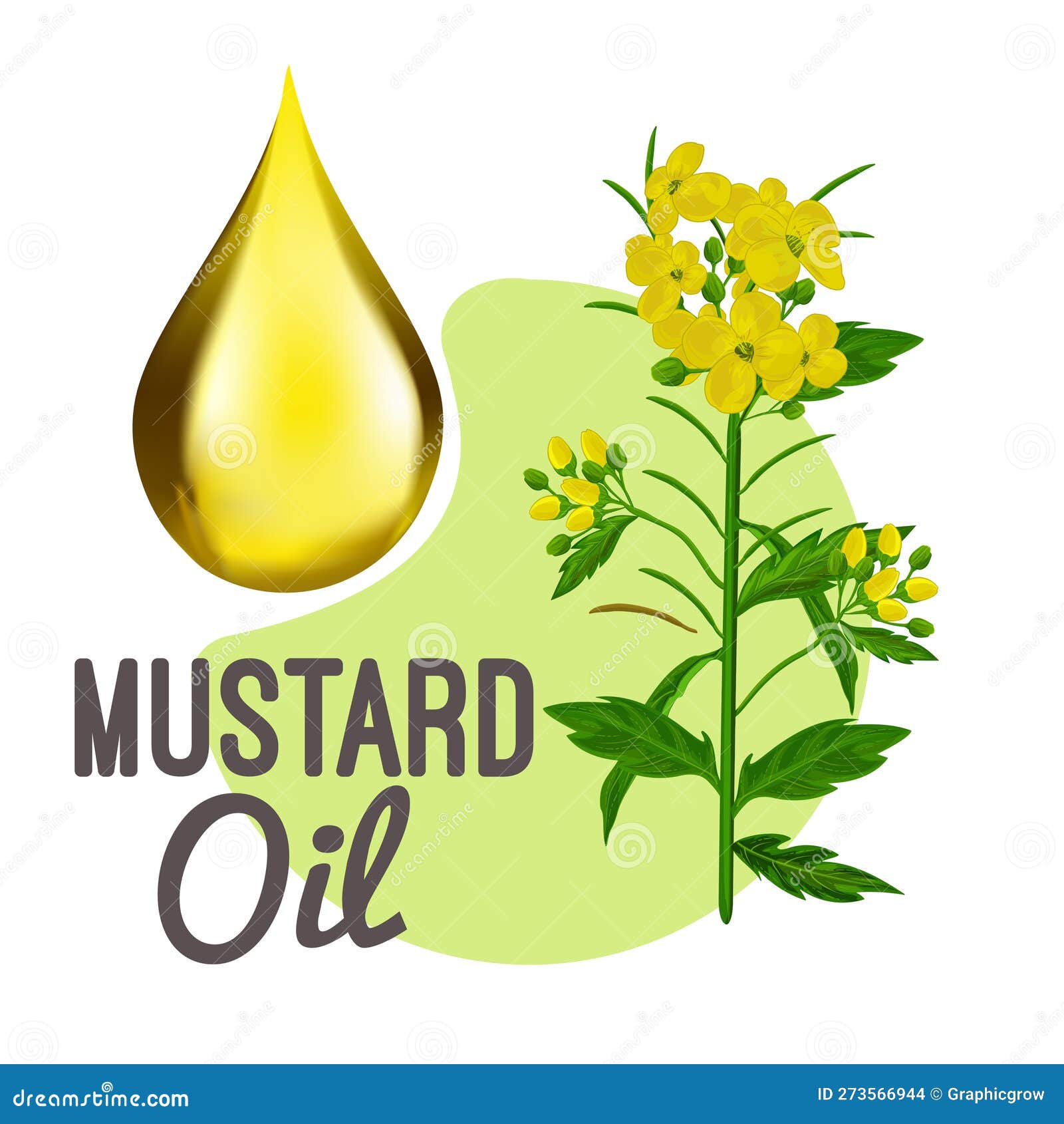 Vector Yellow Mustard Plant and Drop Illustration Stock Vector