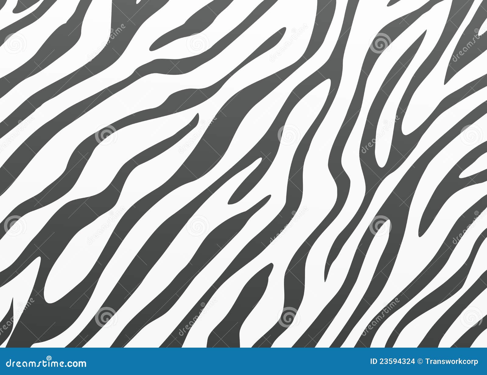 Vector zebra skin stock vector. Illustration of zebra - 23594324