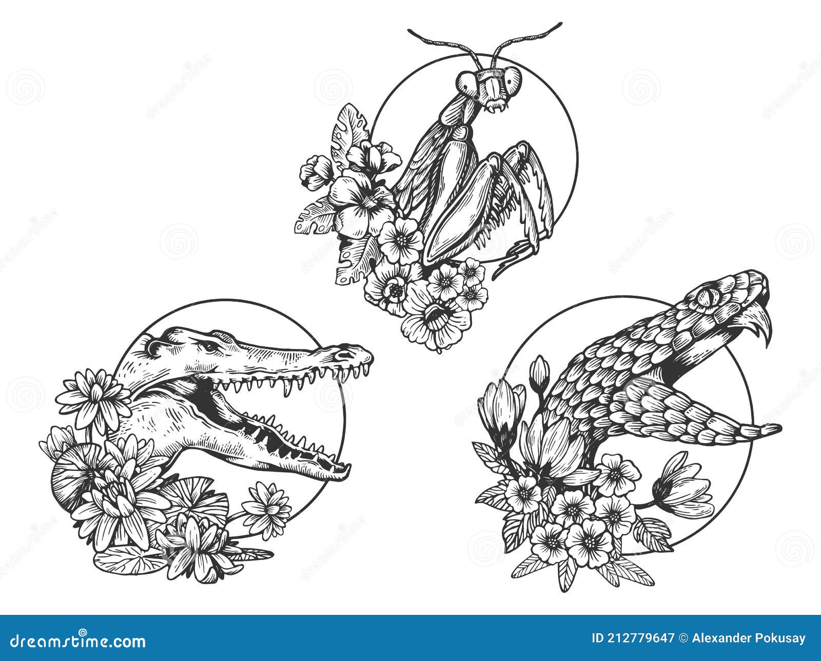 Vectores De Boceto Animal De Cabeza De Cocodrilo De Serpiente Mantis  Ilustración del Vector - Ilustración de bosquejo, cocodrilo: 212779647