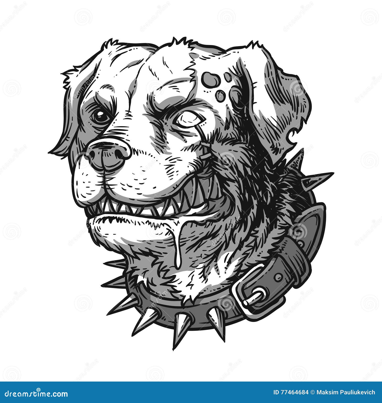 Vectorillustratie Van Kwade Gekke Hond Vector Illustratie Illustratie Bestaande Uit Zwart Tekening 77464684