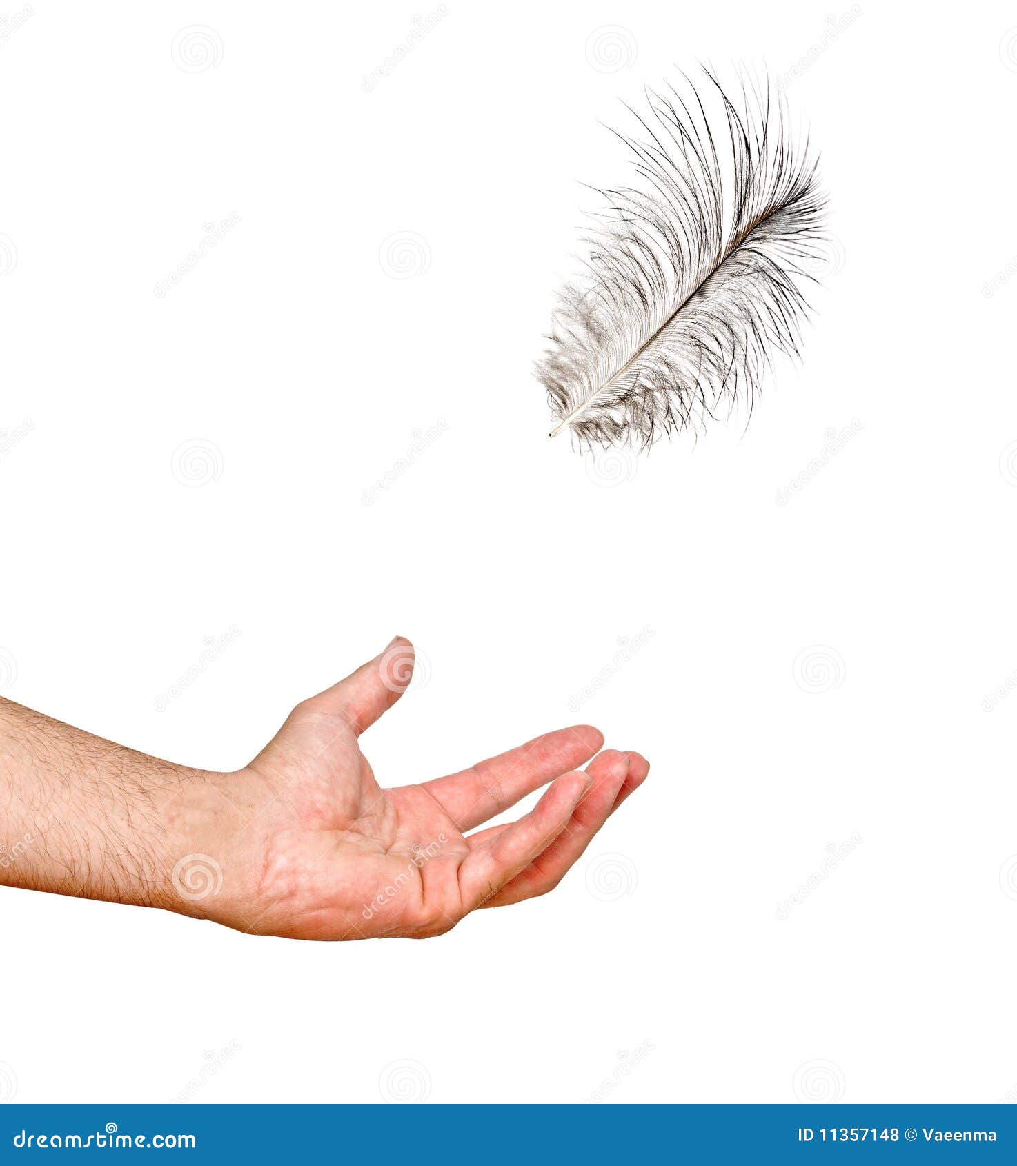 Veer die aan hand valt stock