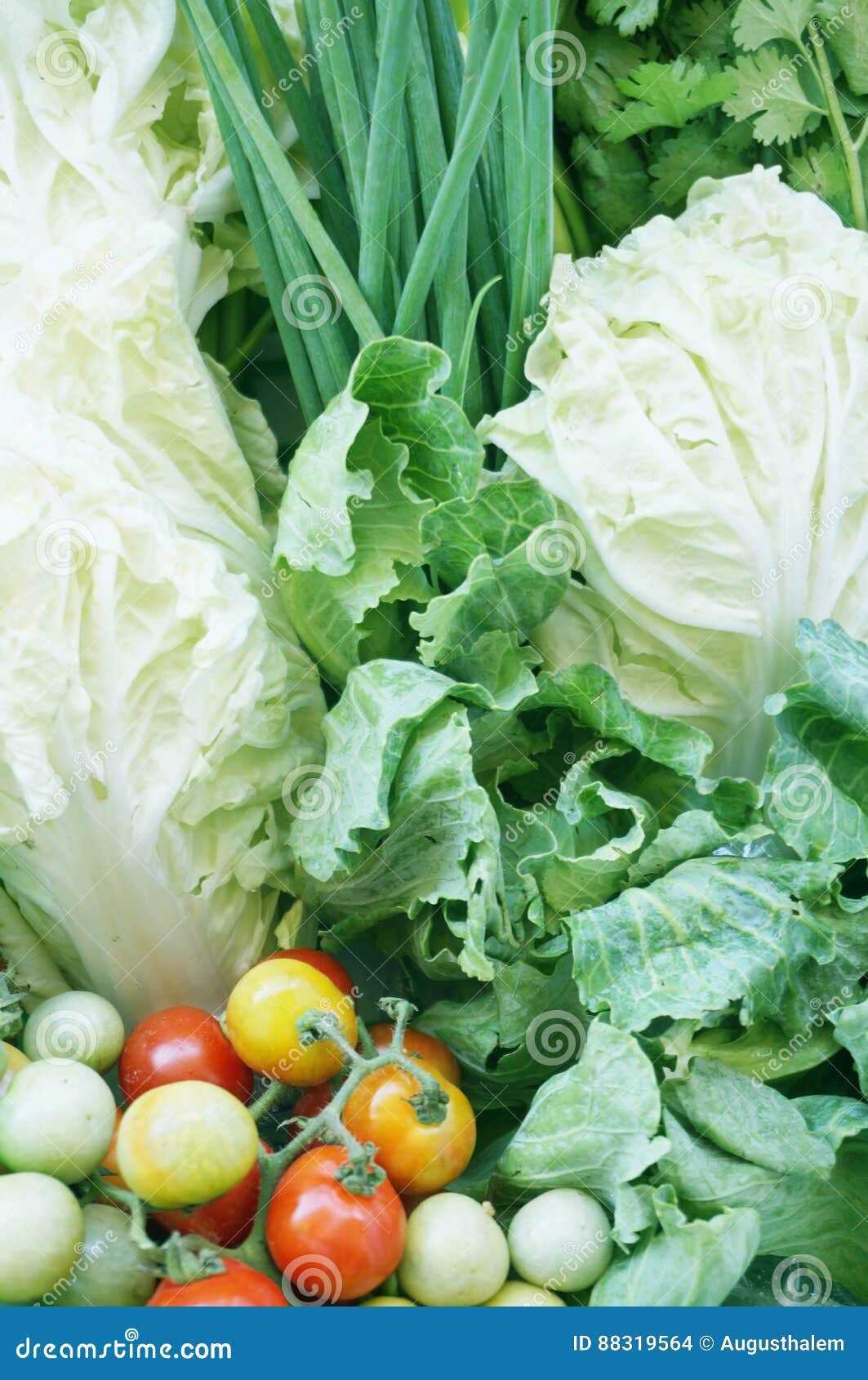 vegatables set - diet food for health