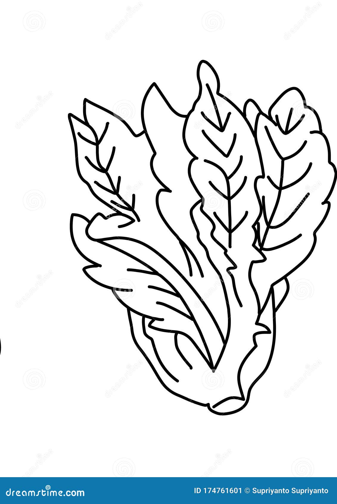 Vegetable Black and White Lineart Illustration Stock Illustration ...