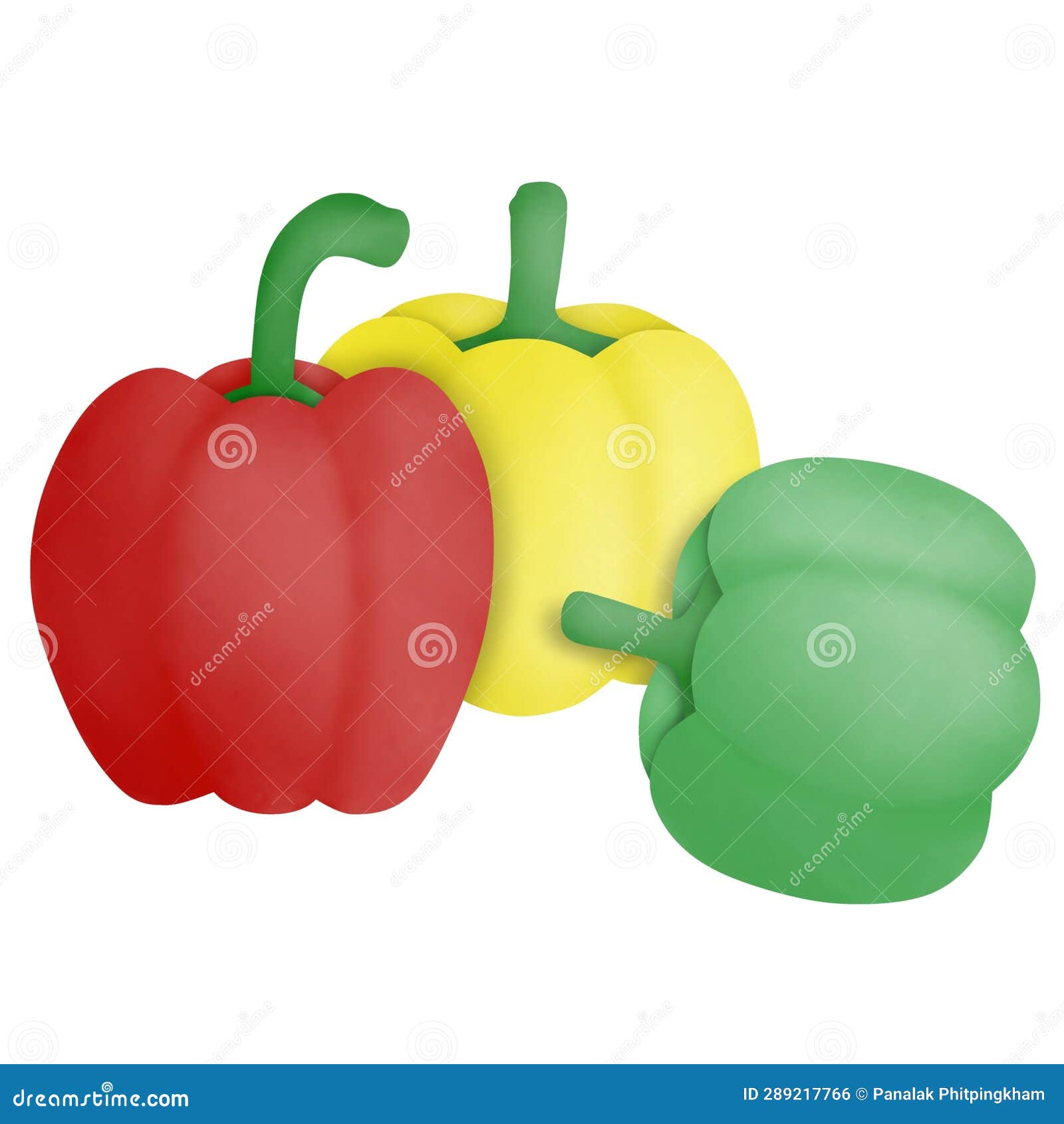 Cartoon Drawing of Bell Pepper Stock Illustration Illustration of