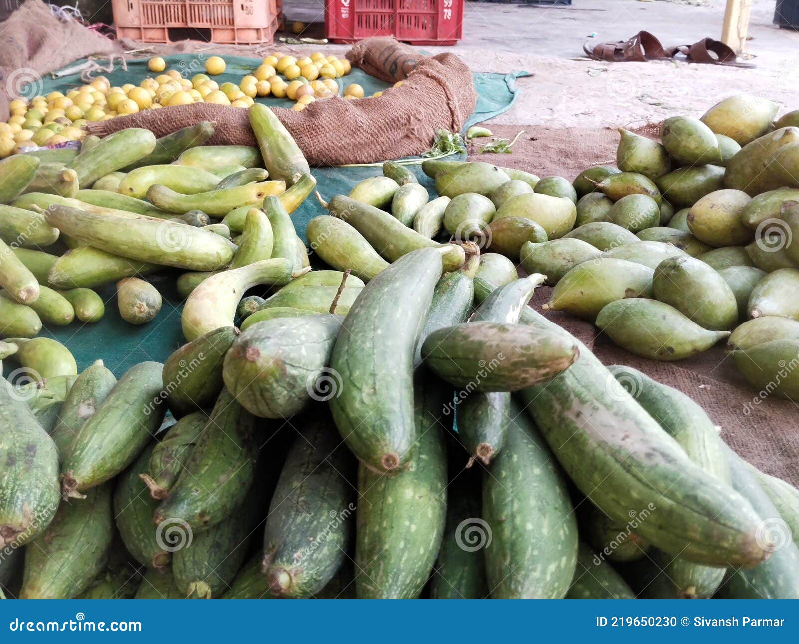 Vegetable food gujarat stock photo. Image of marketplace 219650230