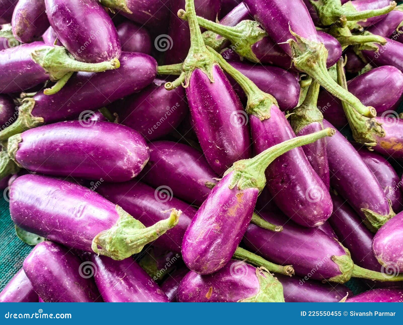 Vegetable food gujarat stock image. Image of dish, gujarat 225550455