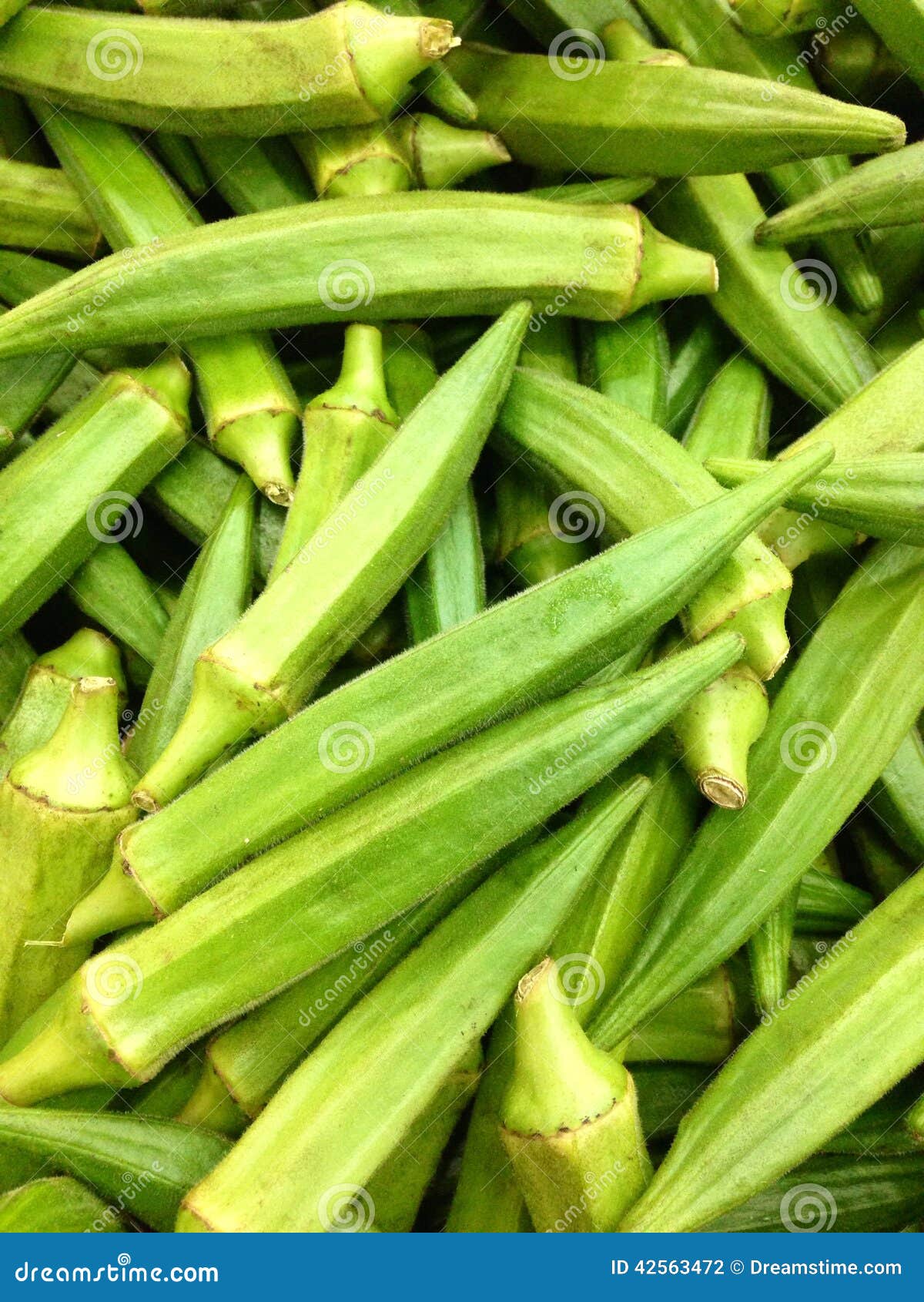 Vegetable stock photo. Image of fresh, healthyfood, ladyfingers 42563472