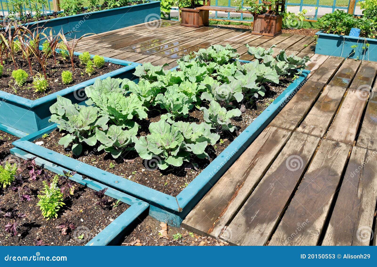 download vegetable gardening download vegetable gardening