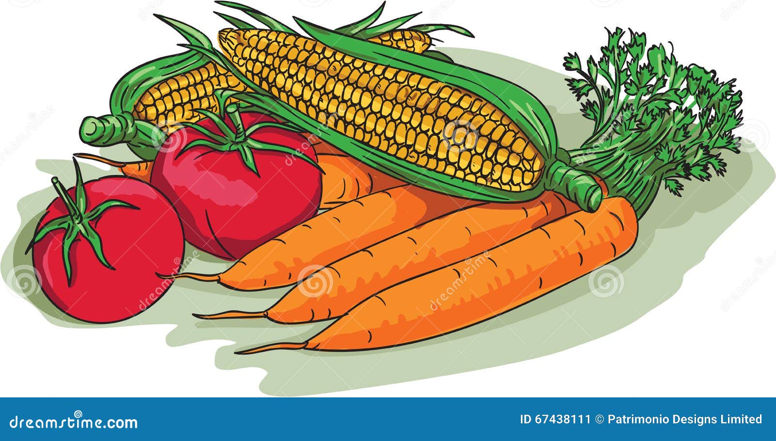 Vegetable Garden Crop Harvest Drawing Stock Vector - Illustration of