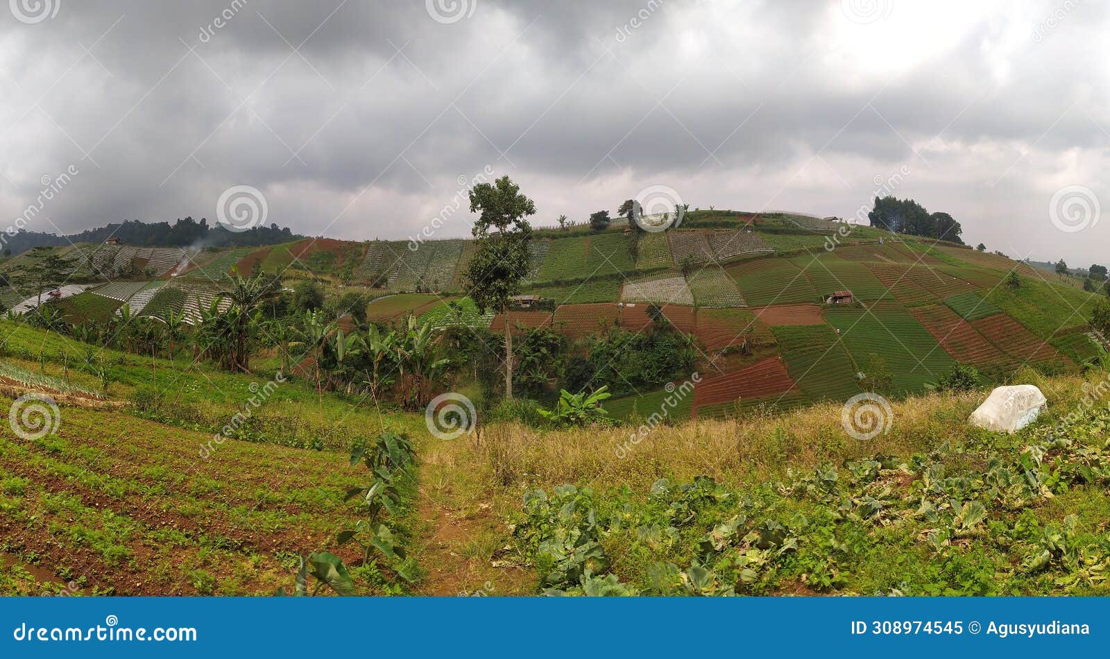 Vegetable Garden Hill stock image. Image of garden, mountin - 308974545