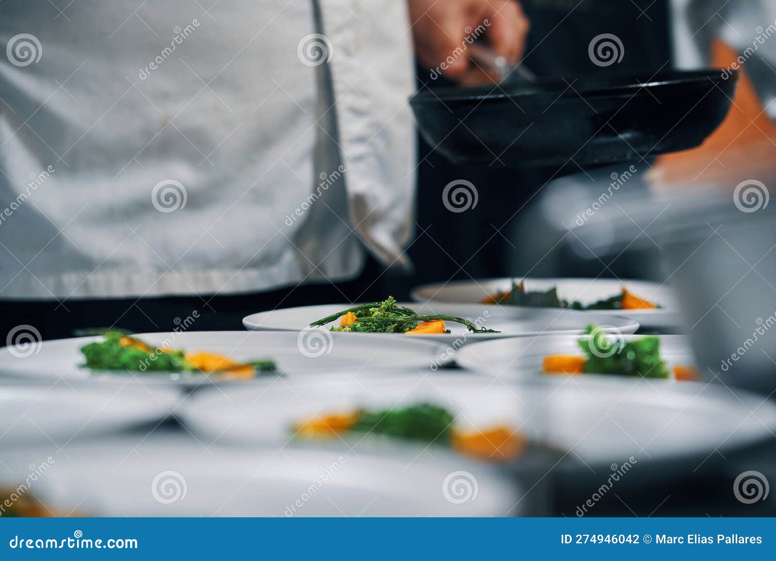 Vegetable Garnish Food Presentation Stock Photo Image of dish, food 274946042