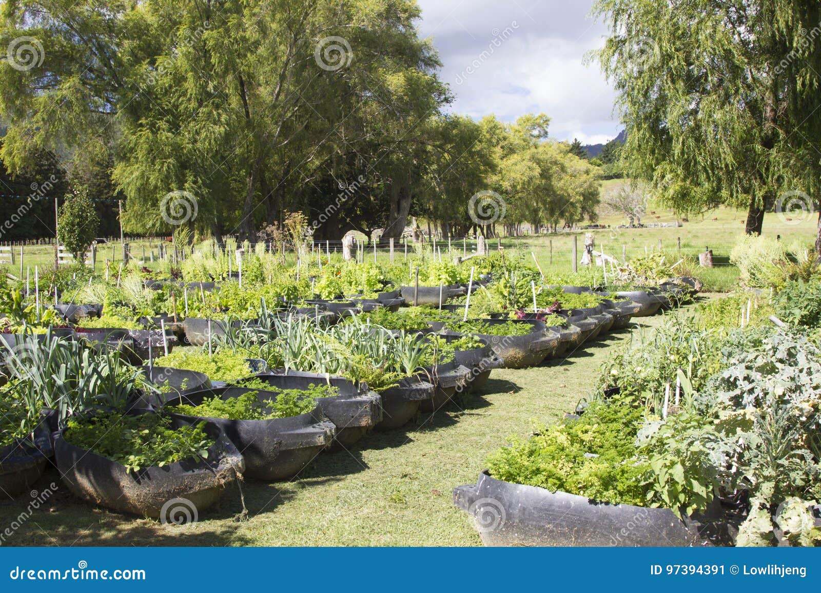 Vegetable and herb garden stock image. Image of flower 97394391