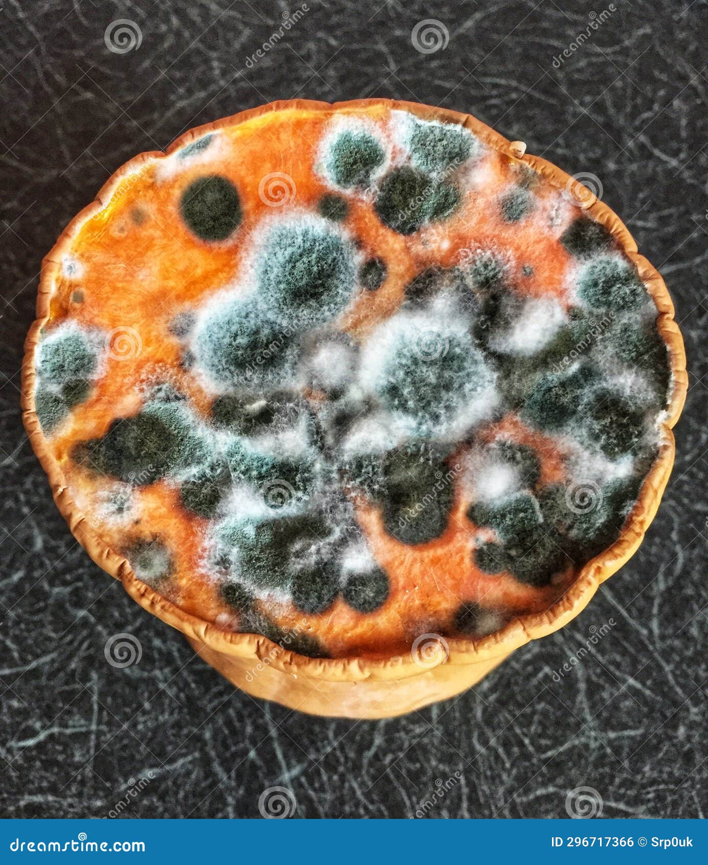 Vegetable Mould Household Waste Stock Photo Image of microbes, waste