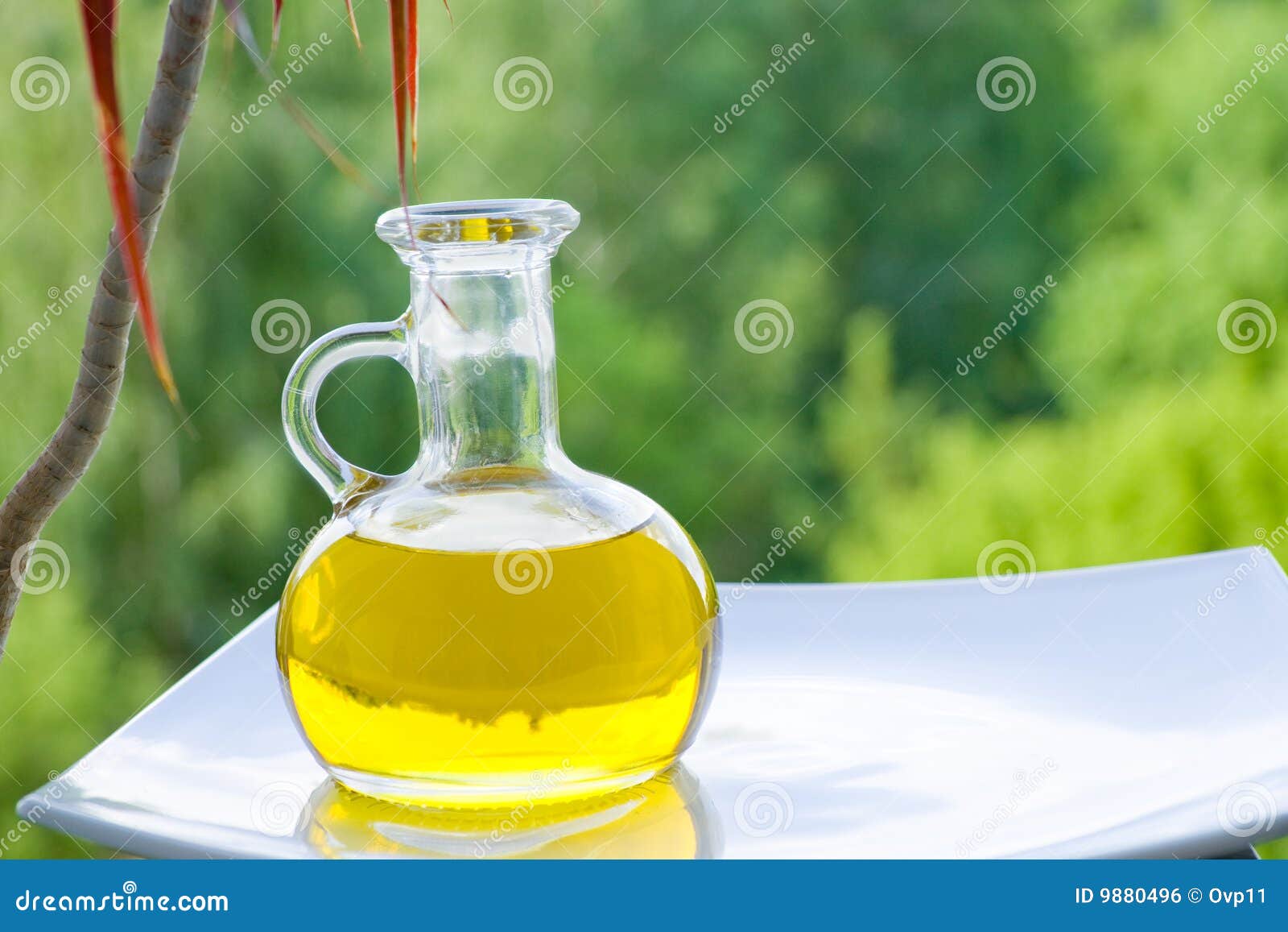 Vegetable oil stock photo. Image of green, sunflower, vegetable 9880496