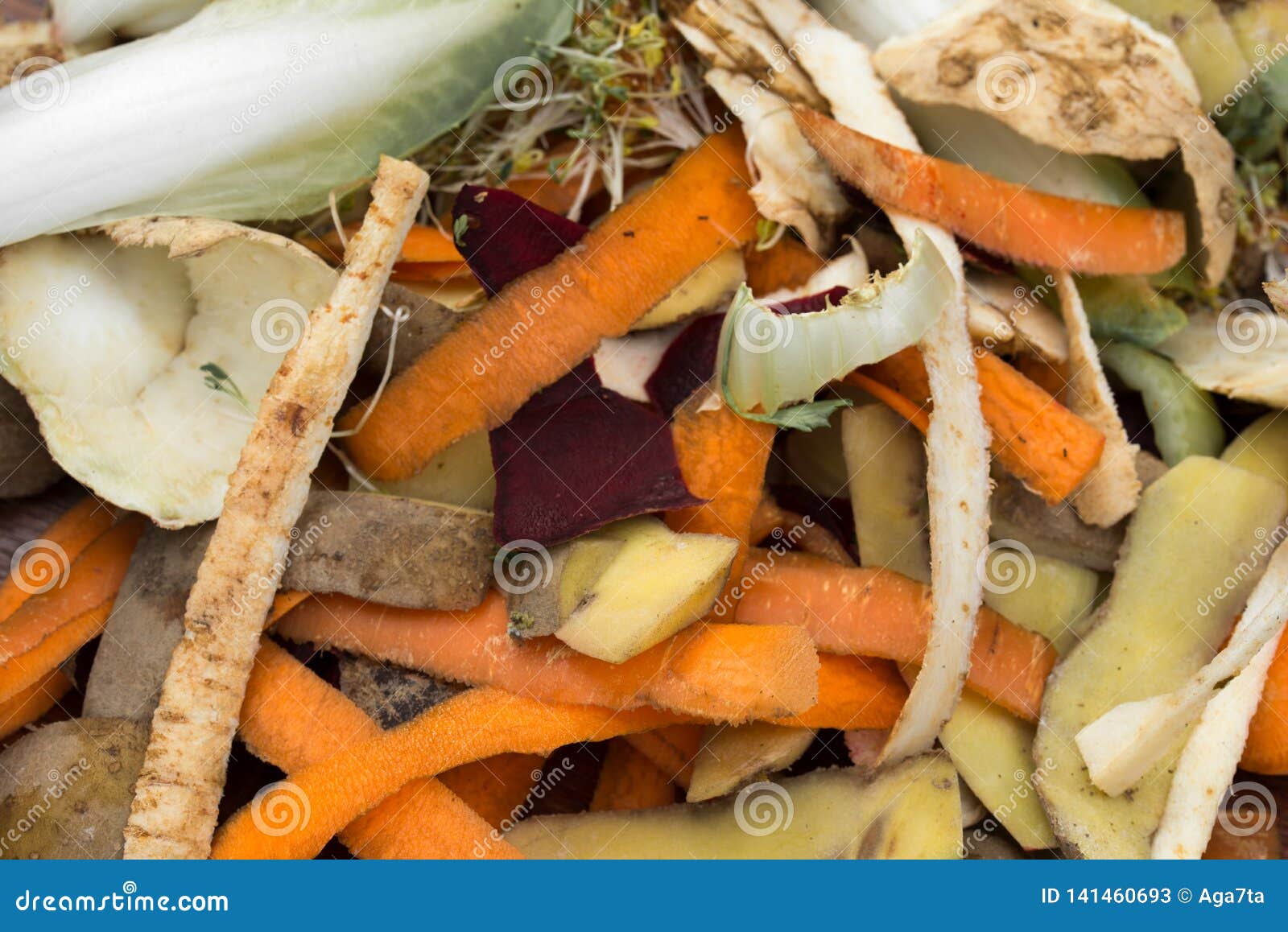 Vegetable Peelings in Composting Pile Stock Image Image of gardening