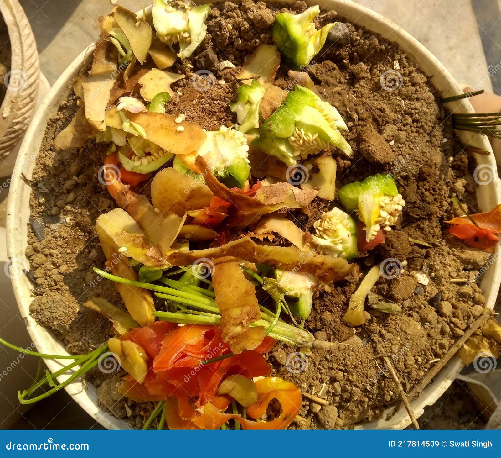 Vegetable Peels for Home Compost Stock Image Image of home, fruit