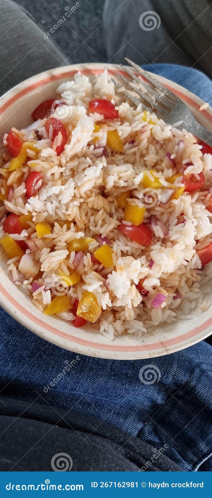 Vegetable and rice dinner stock image. Image of food 267162981