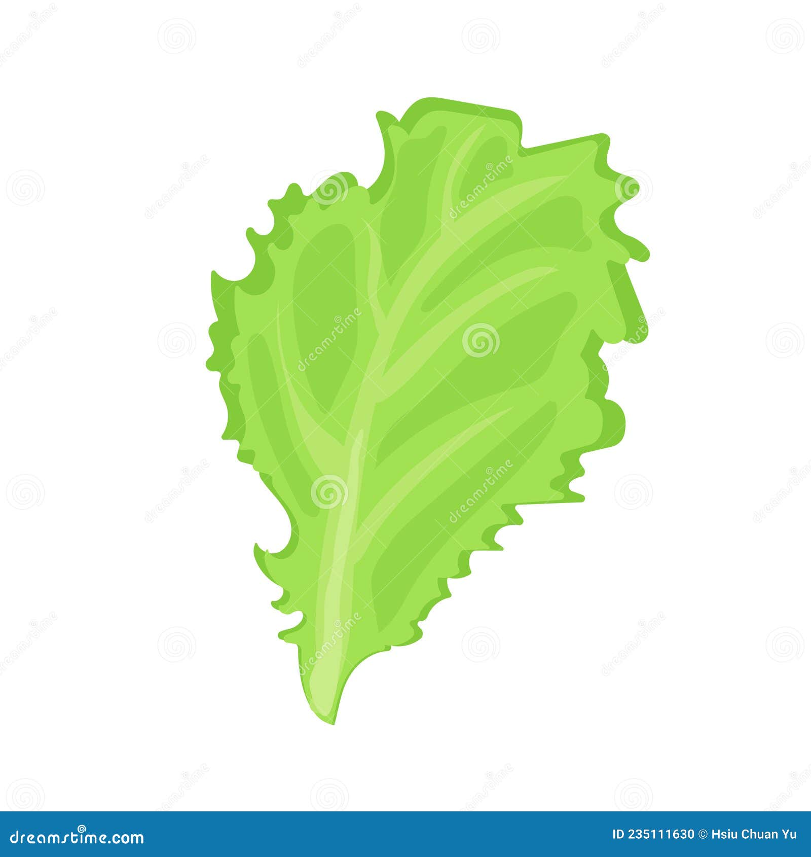 Vegetable Salad Lettuce Leaf Stock Vector - Illustration of leaf, stylish:  235111630, image size:1600x1690