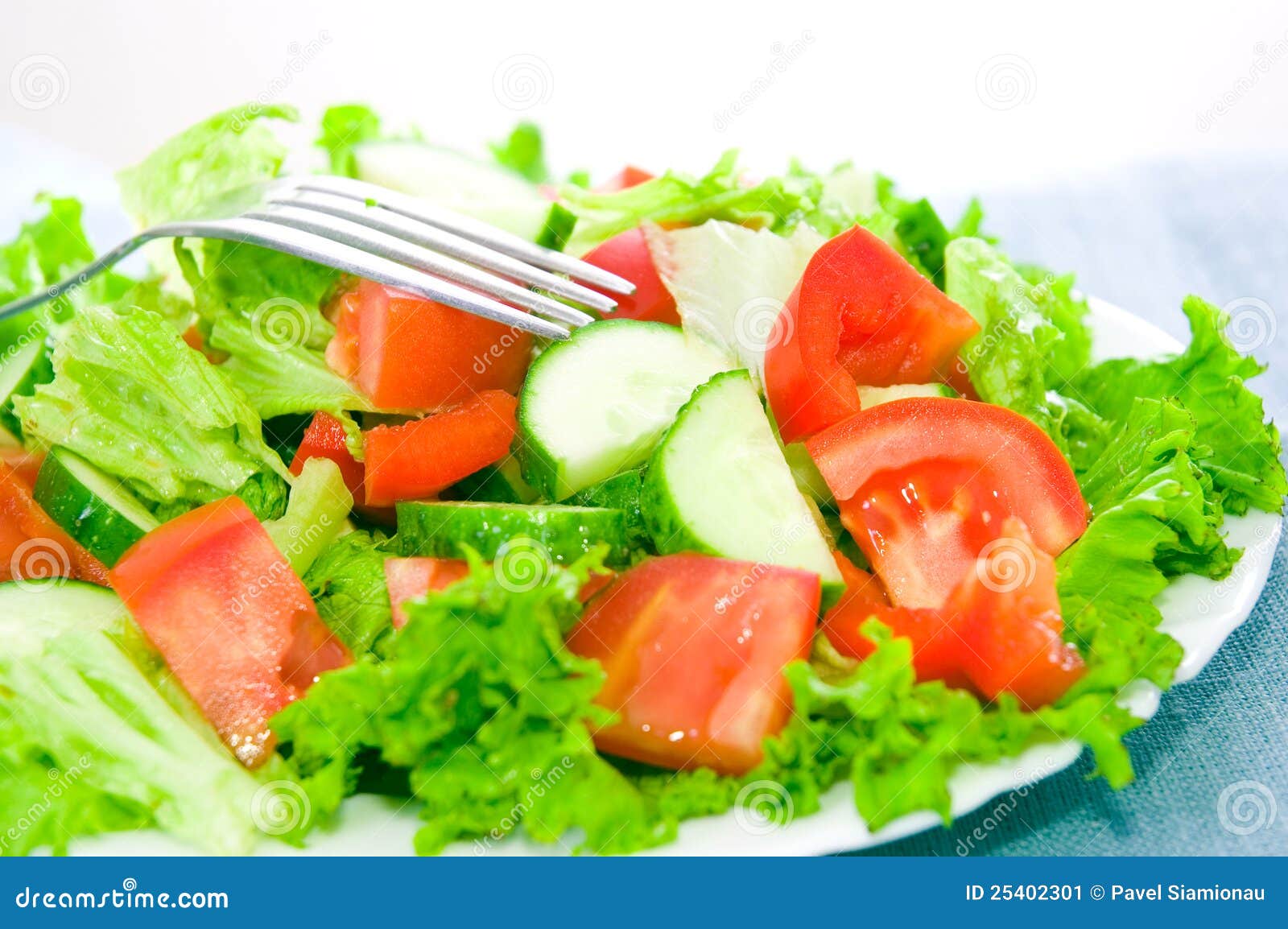 Vegetable salad on plate stock image. Image of salad 25402301