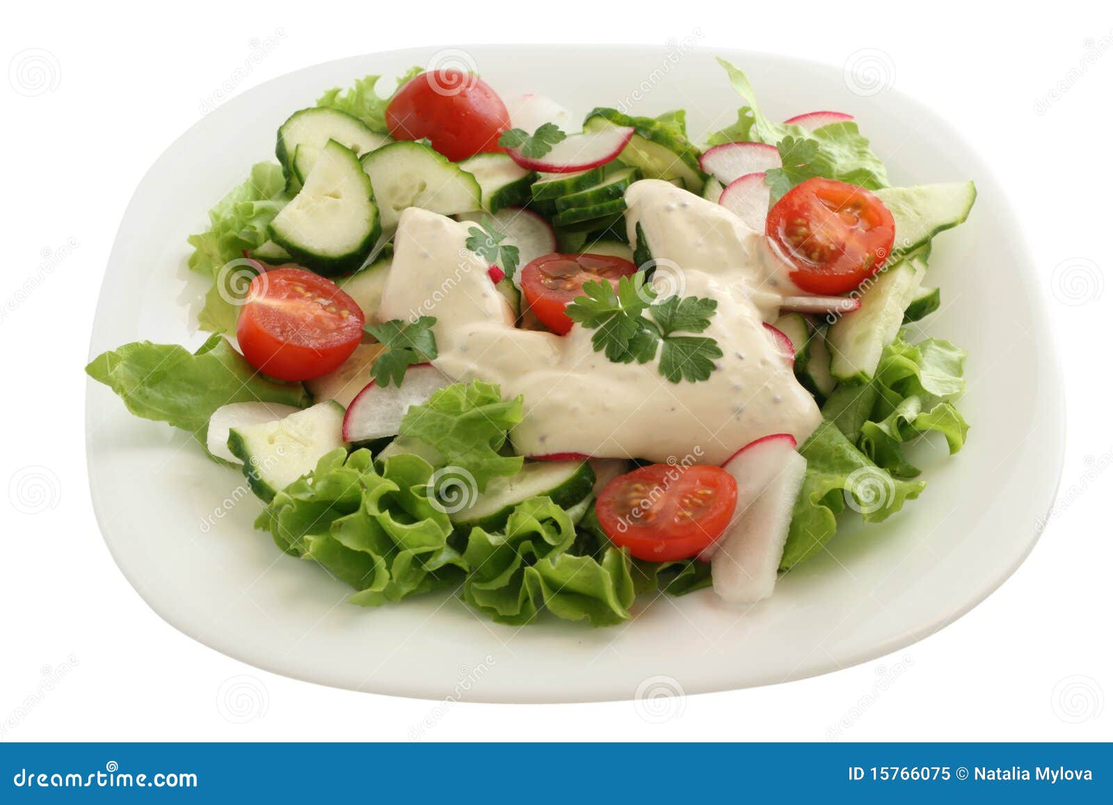 Vegetable Salad With Sauce Royalty Free Stock Photo Image 15766075