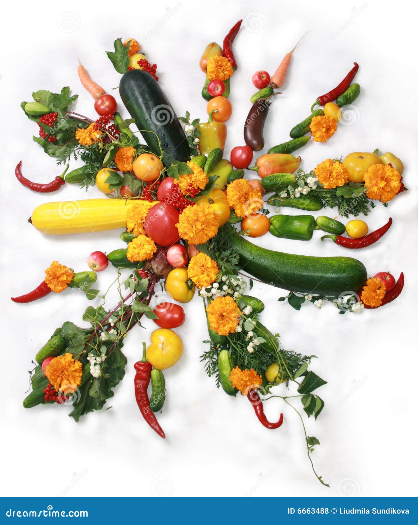 Vegetable Sun stock photo. Image of green, garden, background 6663488