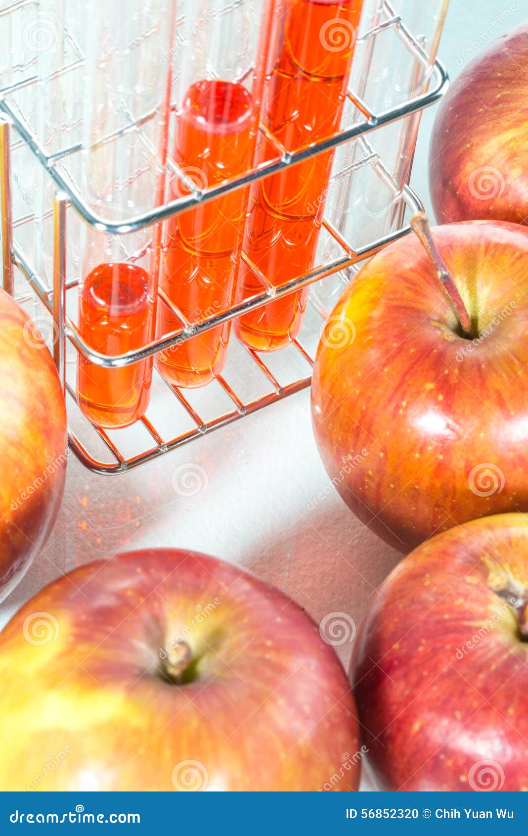 Vegetable Test, Modification,apple Stock Photo Image of food
