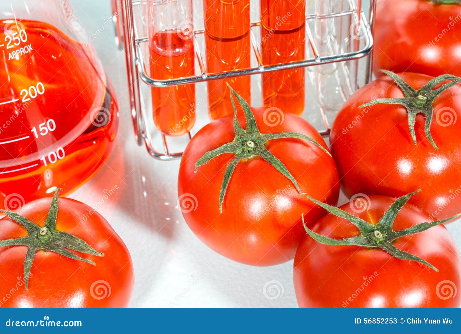 Vegetable Test, Modification, Tomato Stock Image Image of