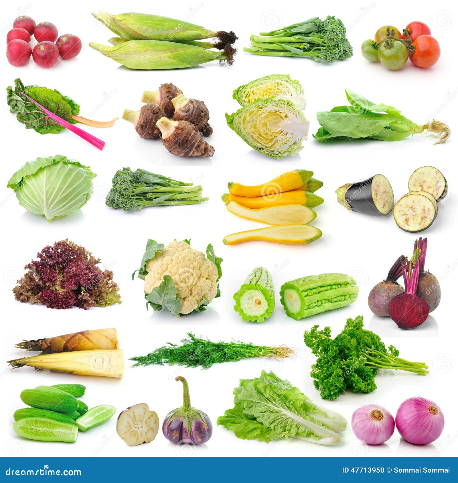 Vegetable on White Background Stock Photo Image of parsley