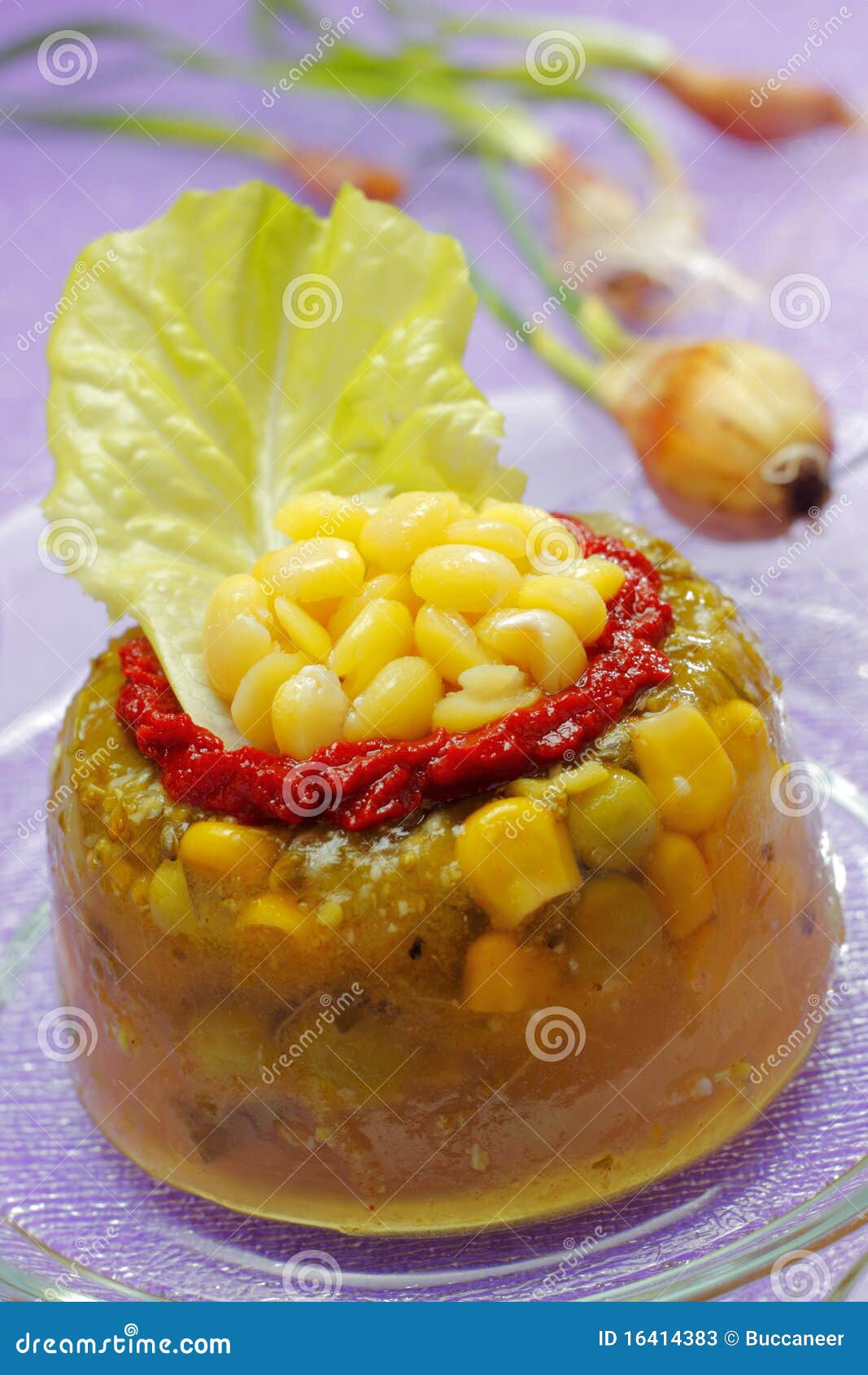 Vegetables in aspic stock image. Image of leaf, onion 16414383