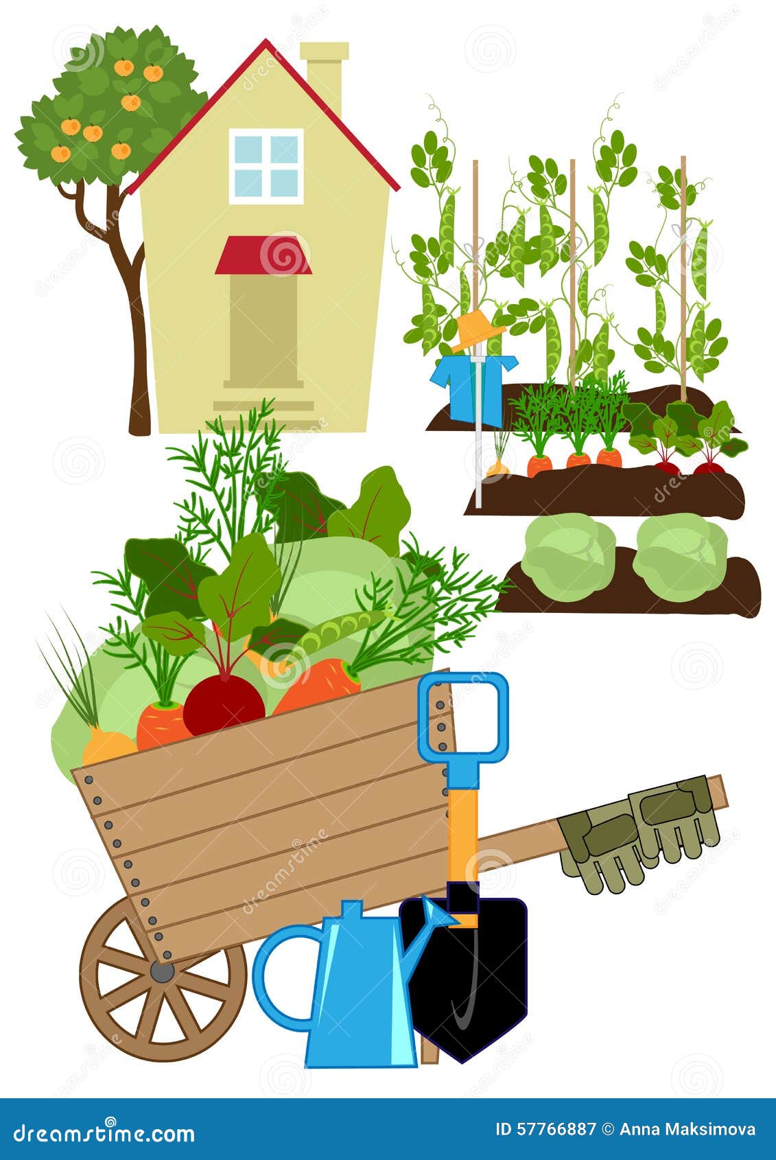 Vegetables garden stock vector. Illustration of beds 57766887