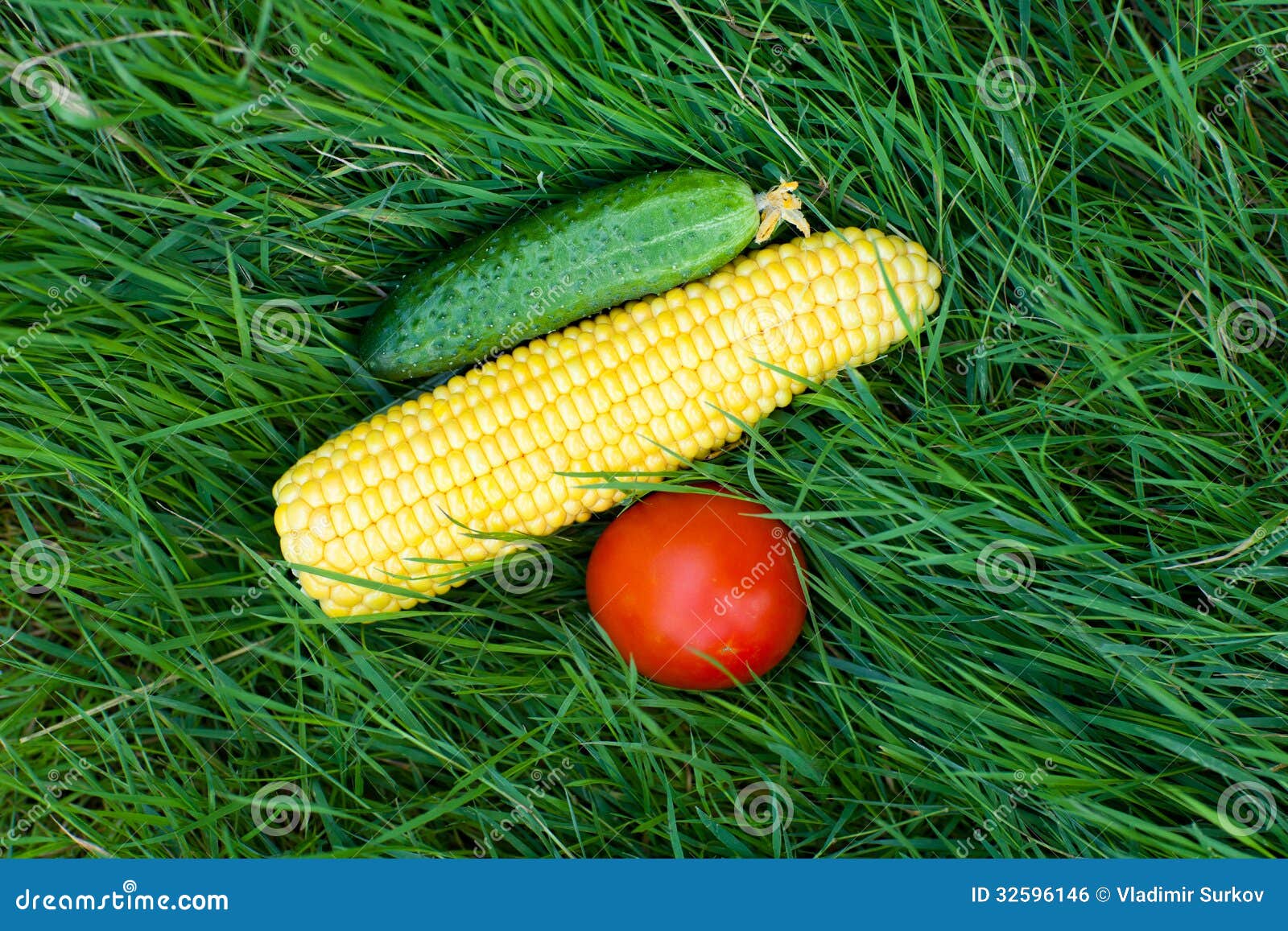 Vegetables on the grass stock photo. Image of outdoors 32596146