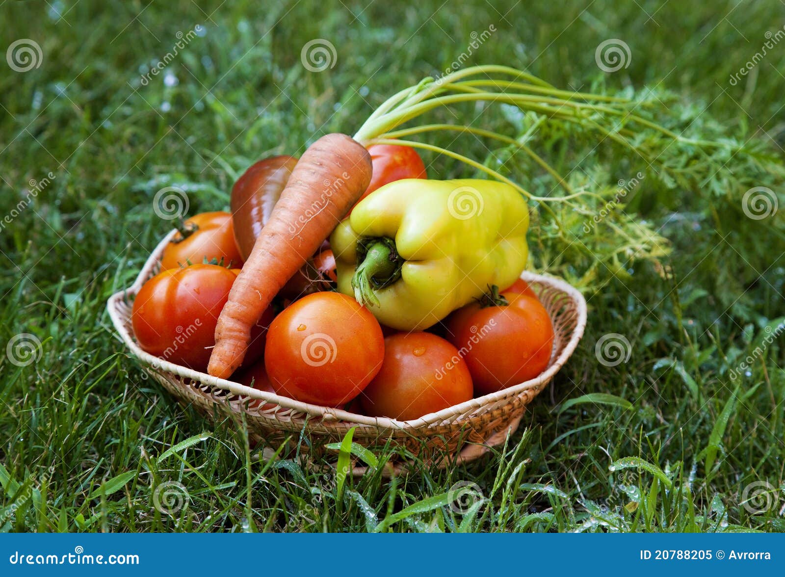 Vegetables on green grass stock image. Image of food 20788205
