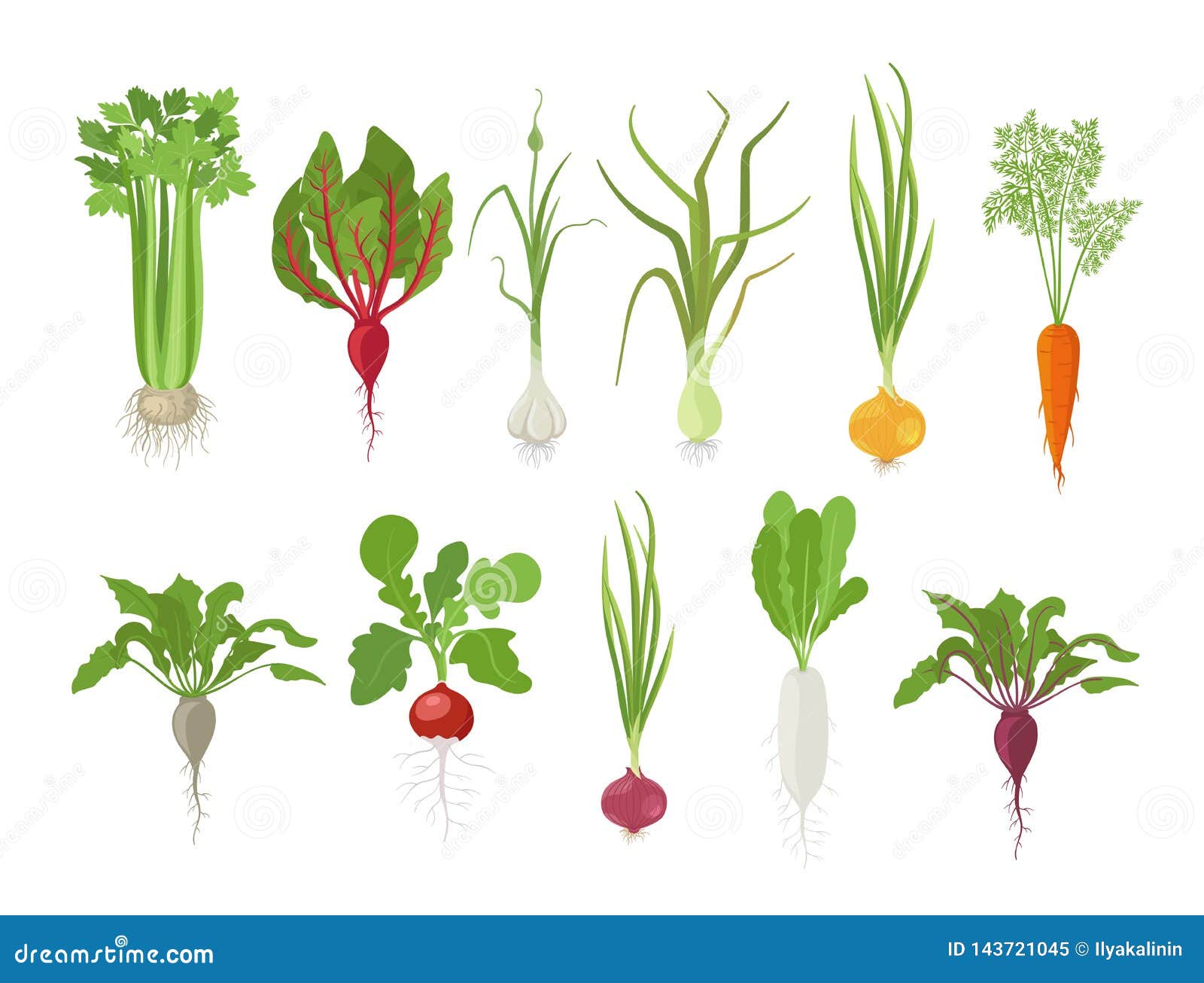 Vegetables Harvest Plant Icon Set. Vector Farm Plants. Popular